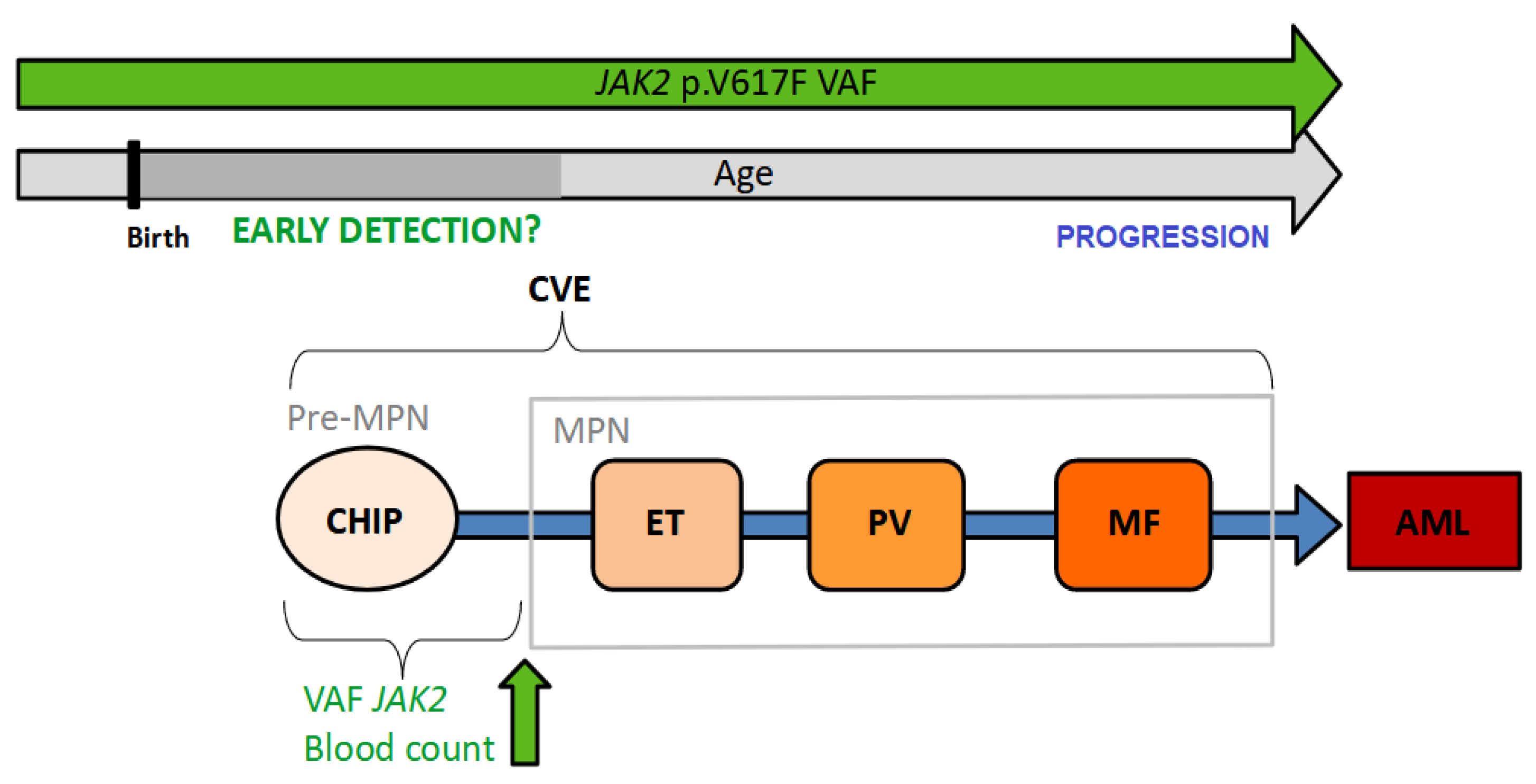 Ijms 24 12700 g001 Ijms 24 12700 g001