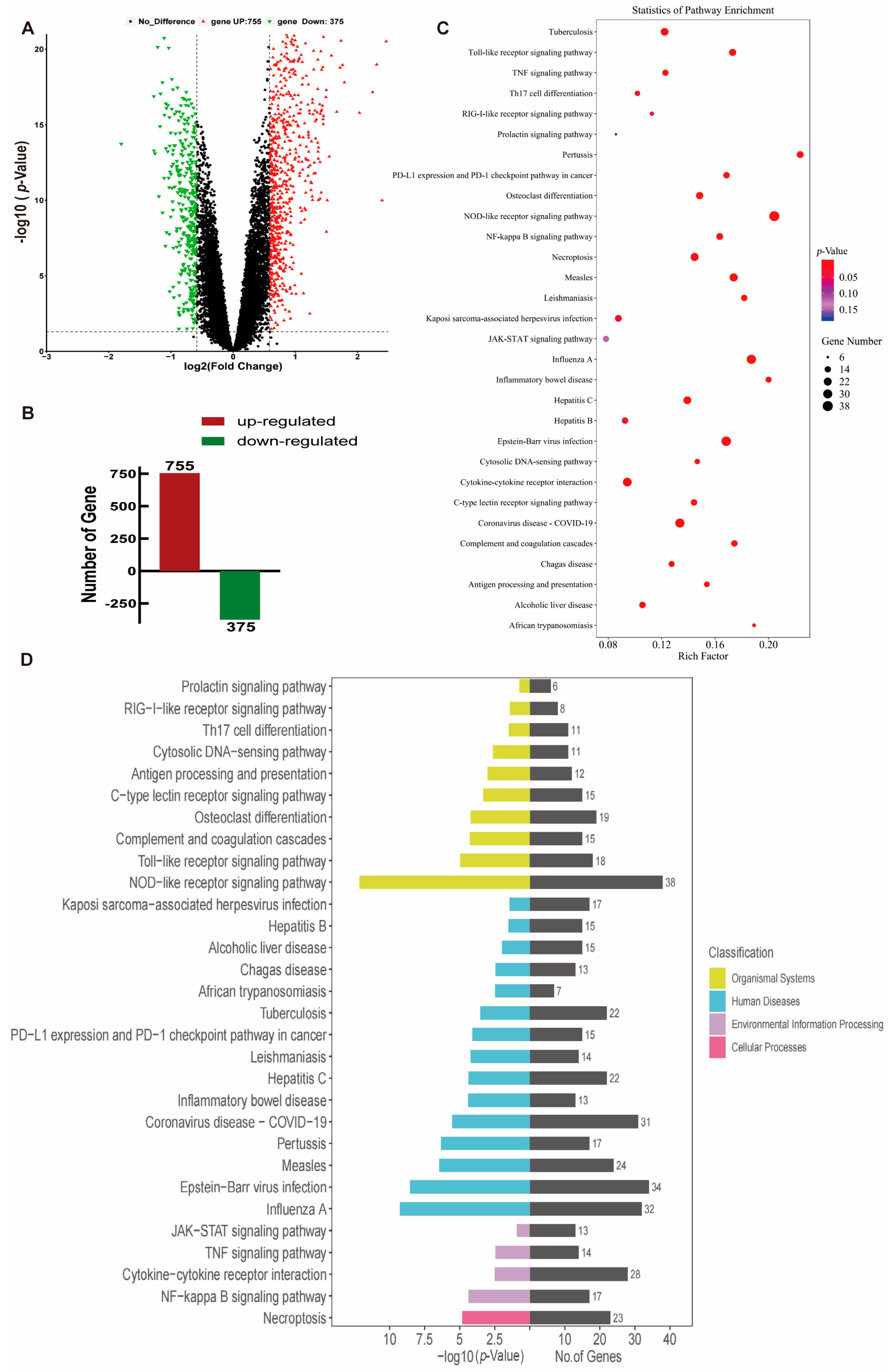 Ijms 24 12709 g002 Ijms 24 12709 g002