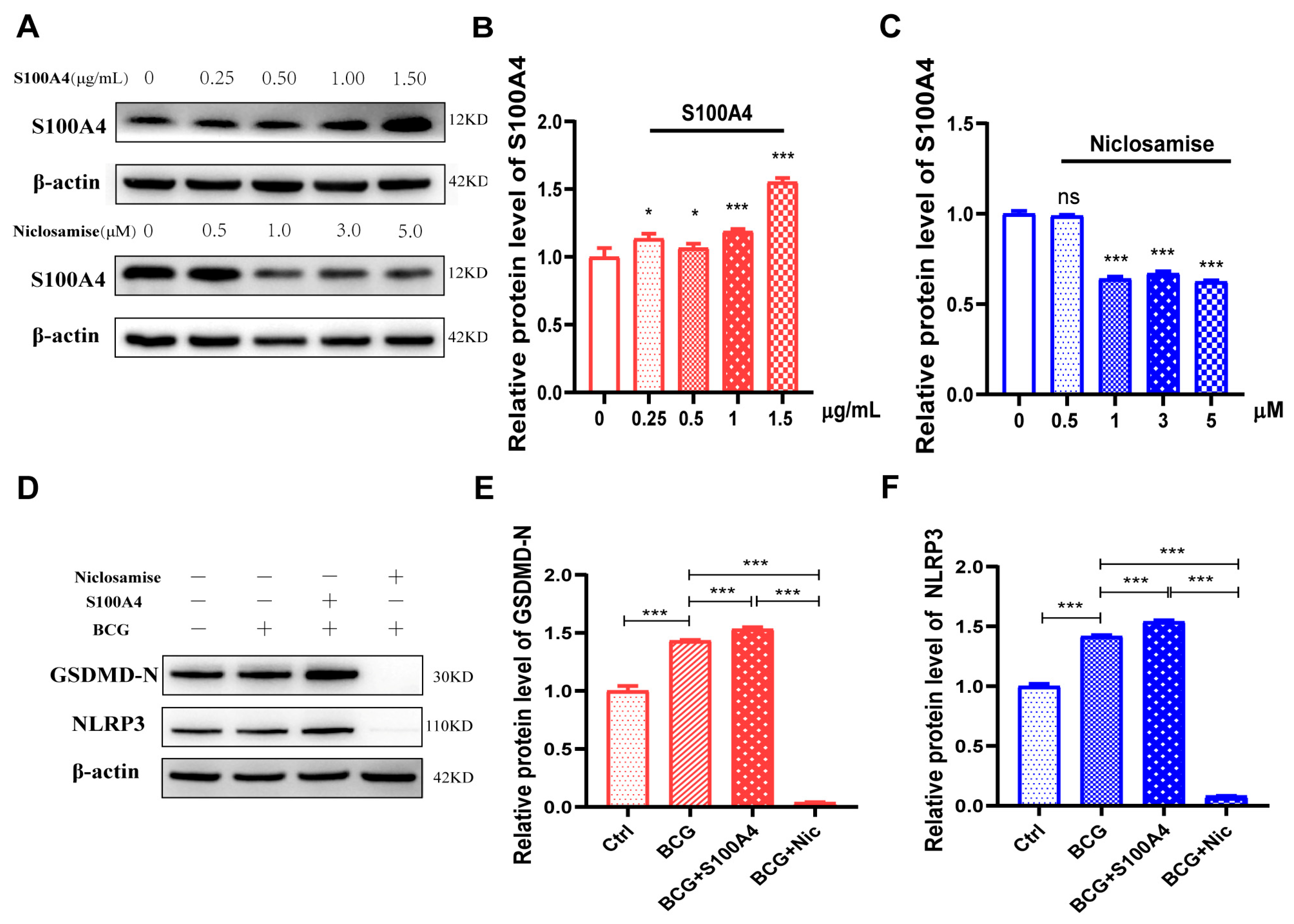 Ijms 24 12709 g007 Ijms 24 12709 g007