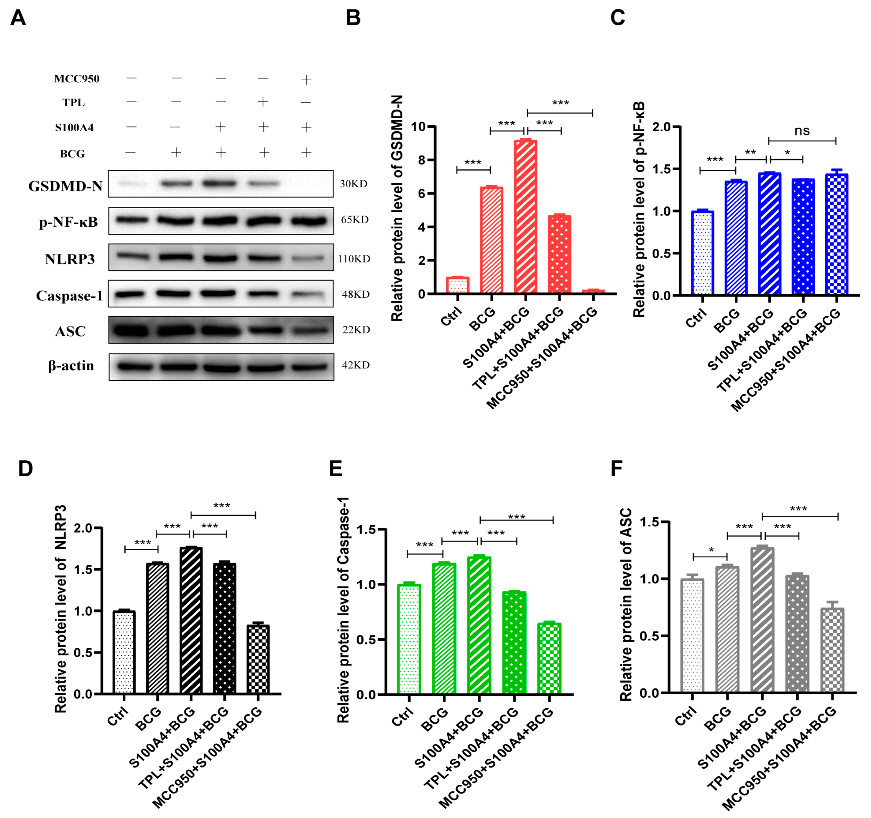 Ijms 24 12709 g009 Ijms 24 12709 g009