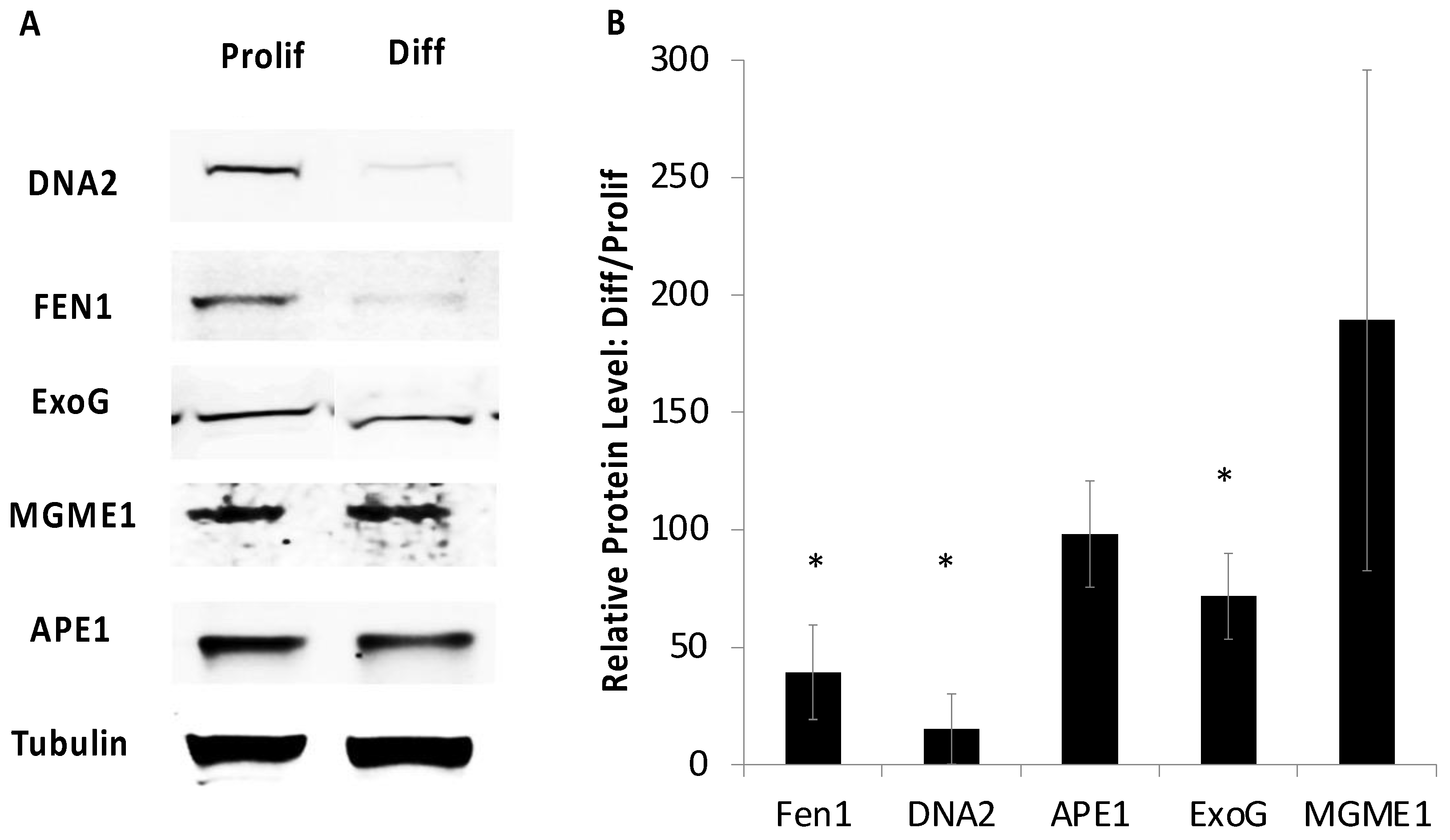 Ijms 24 12715 g001 Ijms 24 12715 g001
