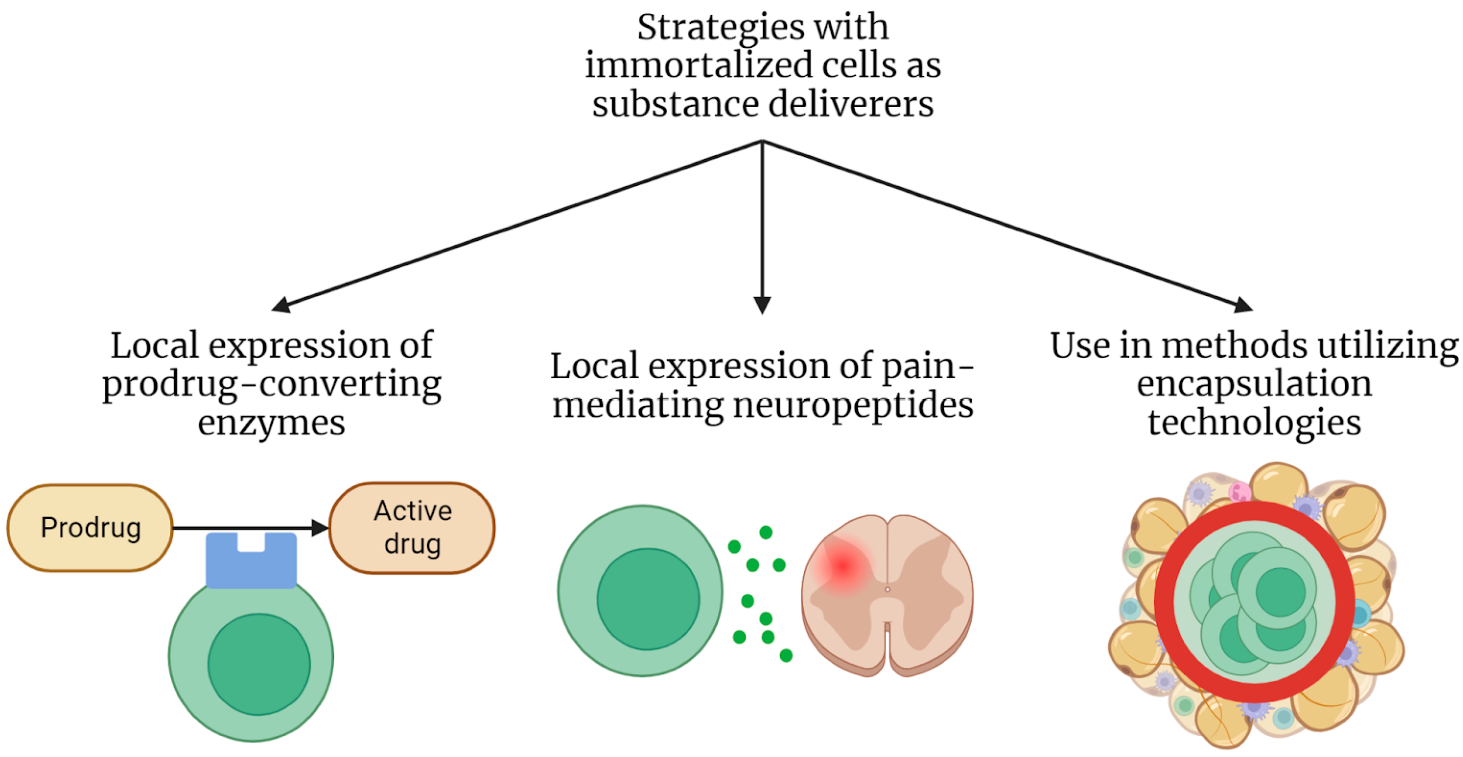 Ijms 24 12716 g003 Ijms 24 12716 g003