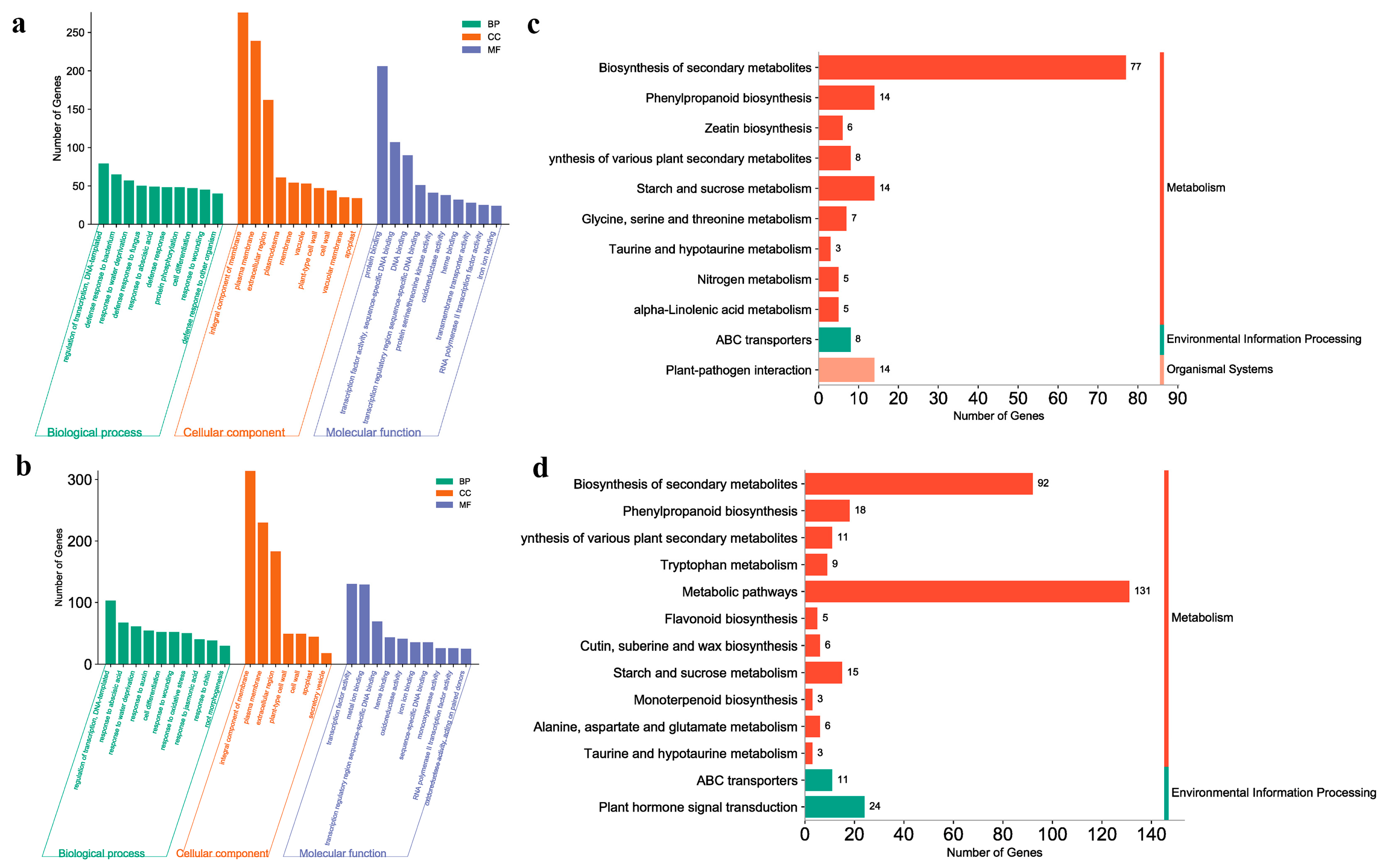 Ijms 24 12718 g005 Ijms 24 12718 g005