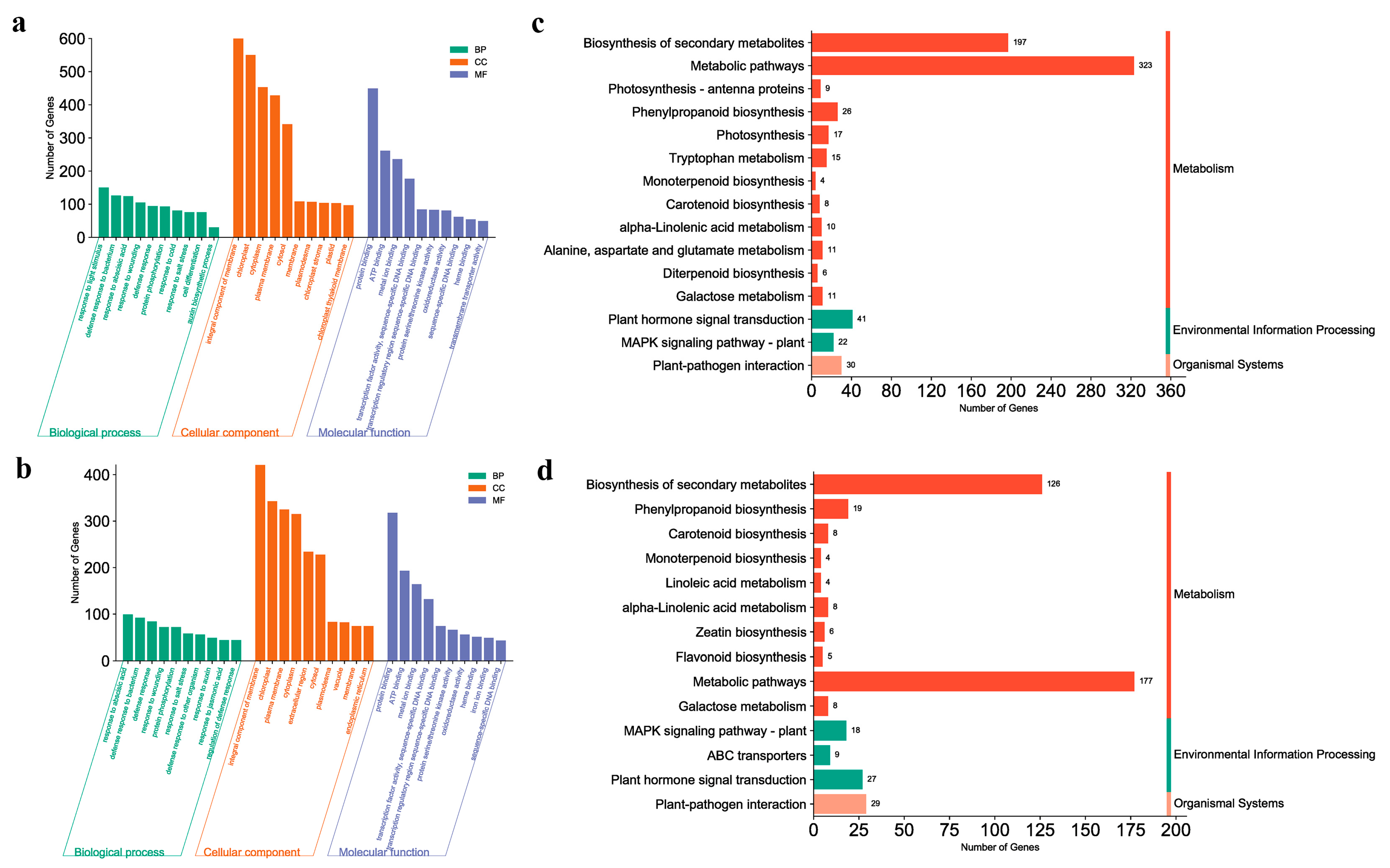 Ijms 24 12718 g006 Ijms 24 12718 g006