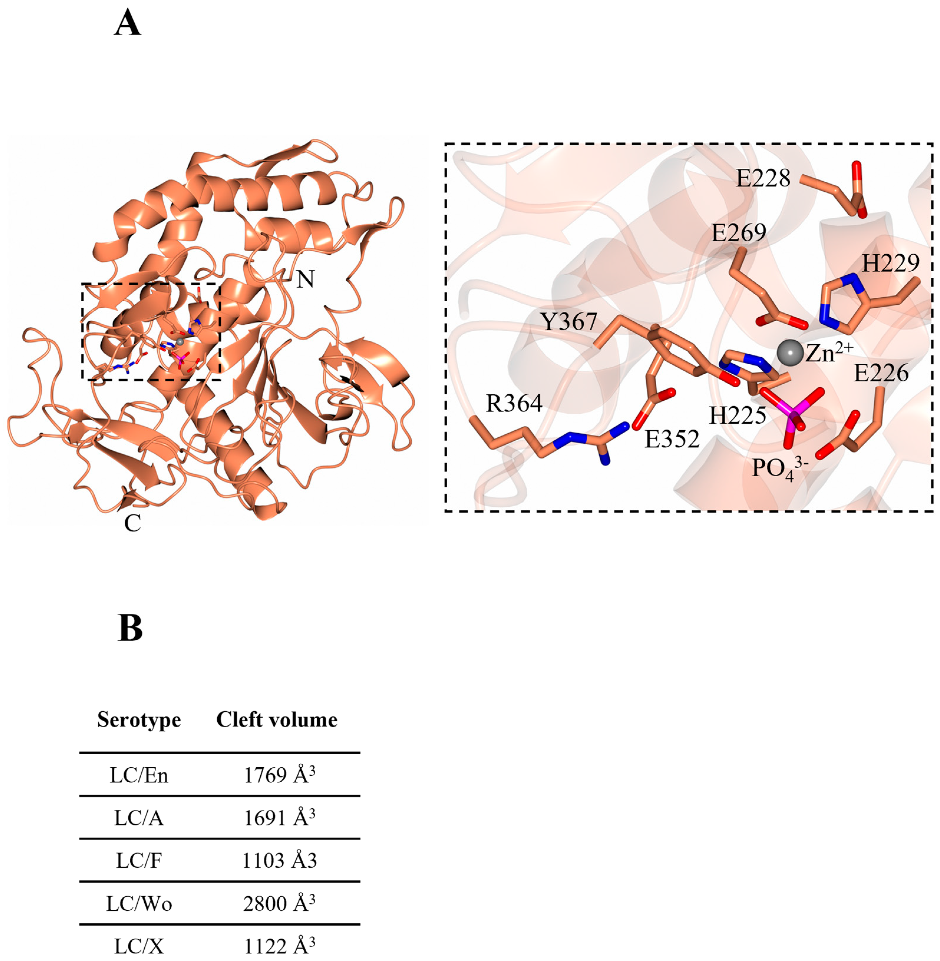 Ijms 24 12721 g002 Ijms 24 12721 g002