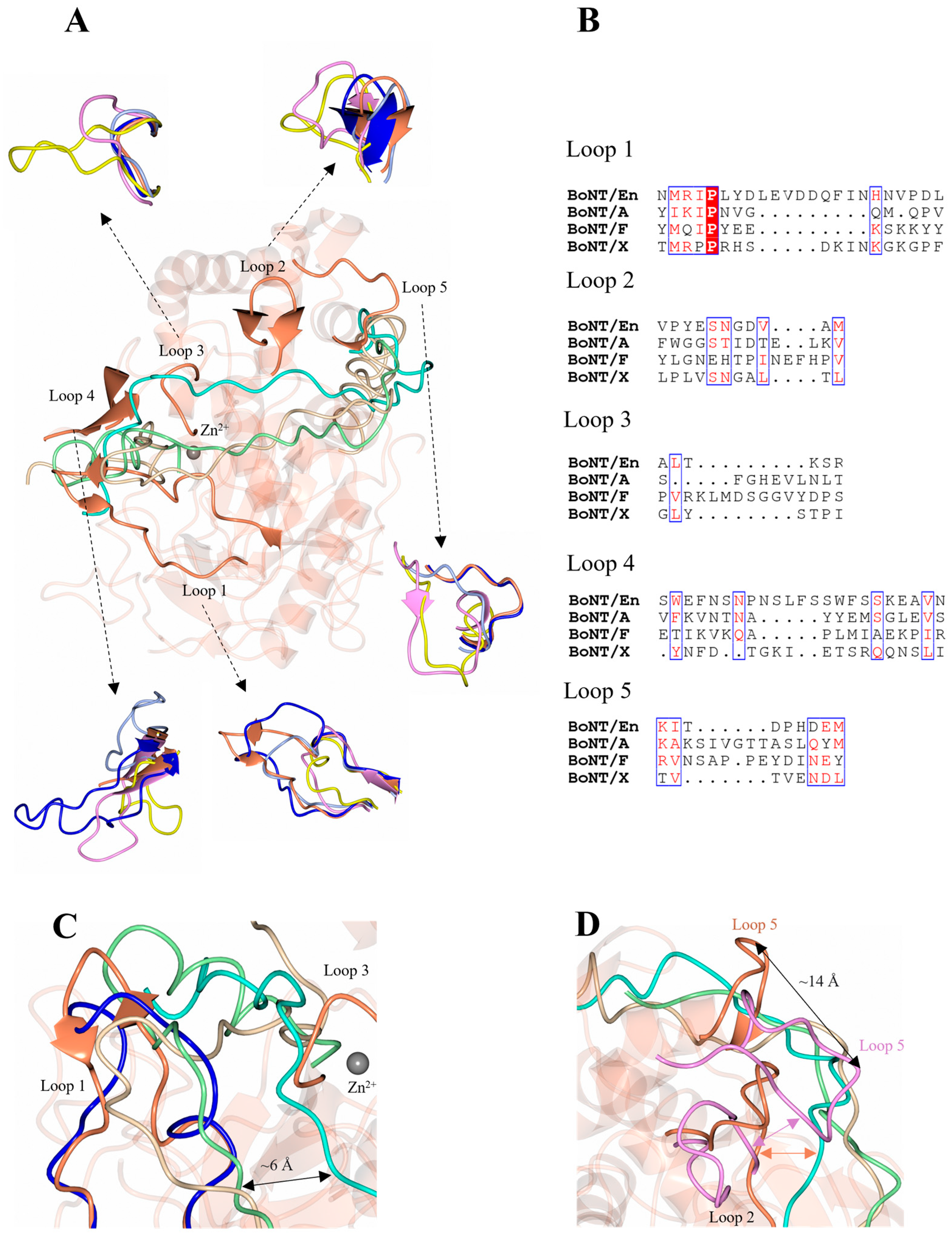 Ijms 24 12721 g004 Ijms 24 12721 g004
