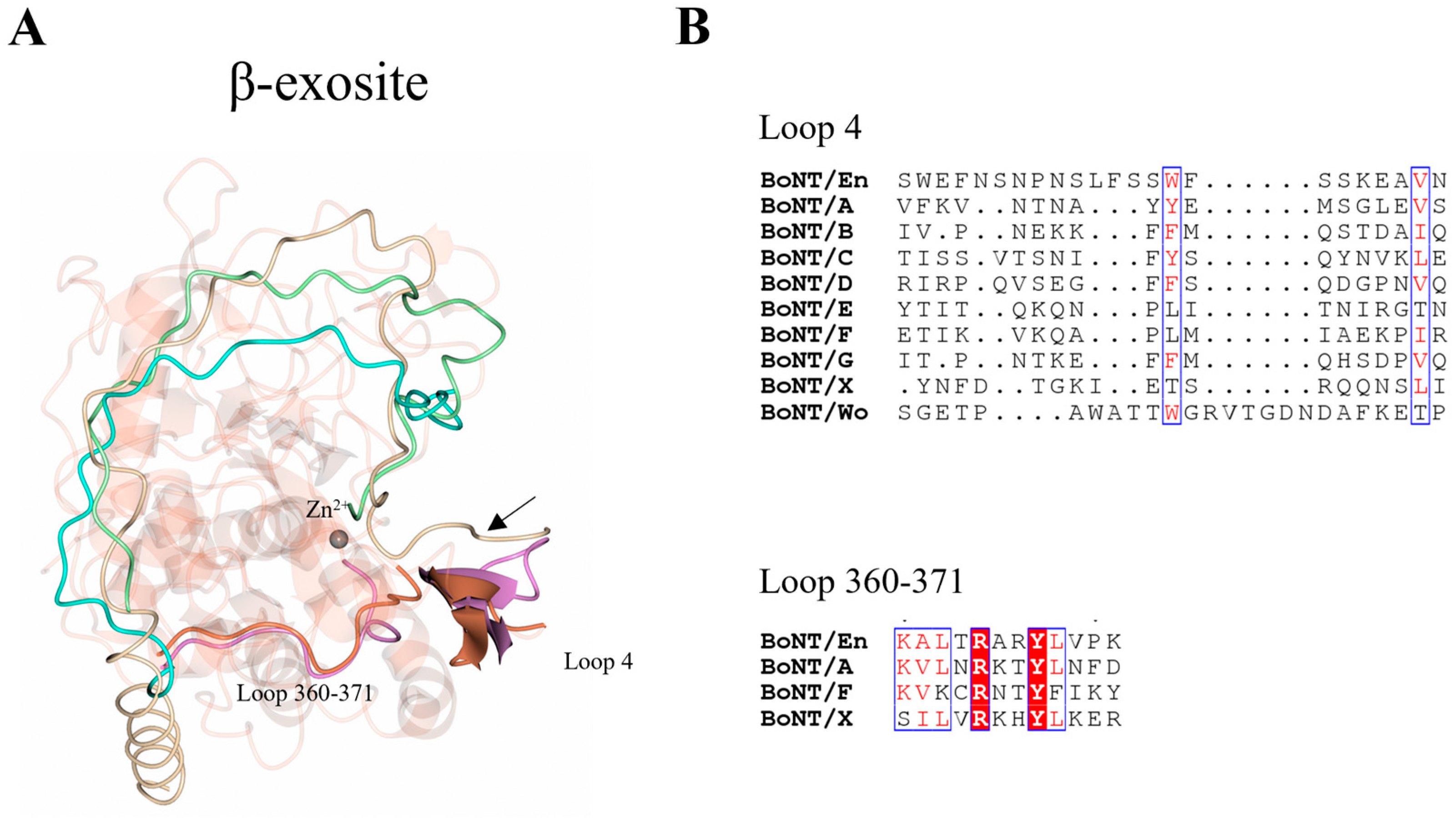 Ijms 24 12721 g005 Ijms 24 12721 g005