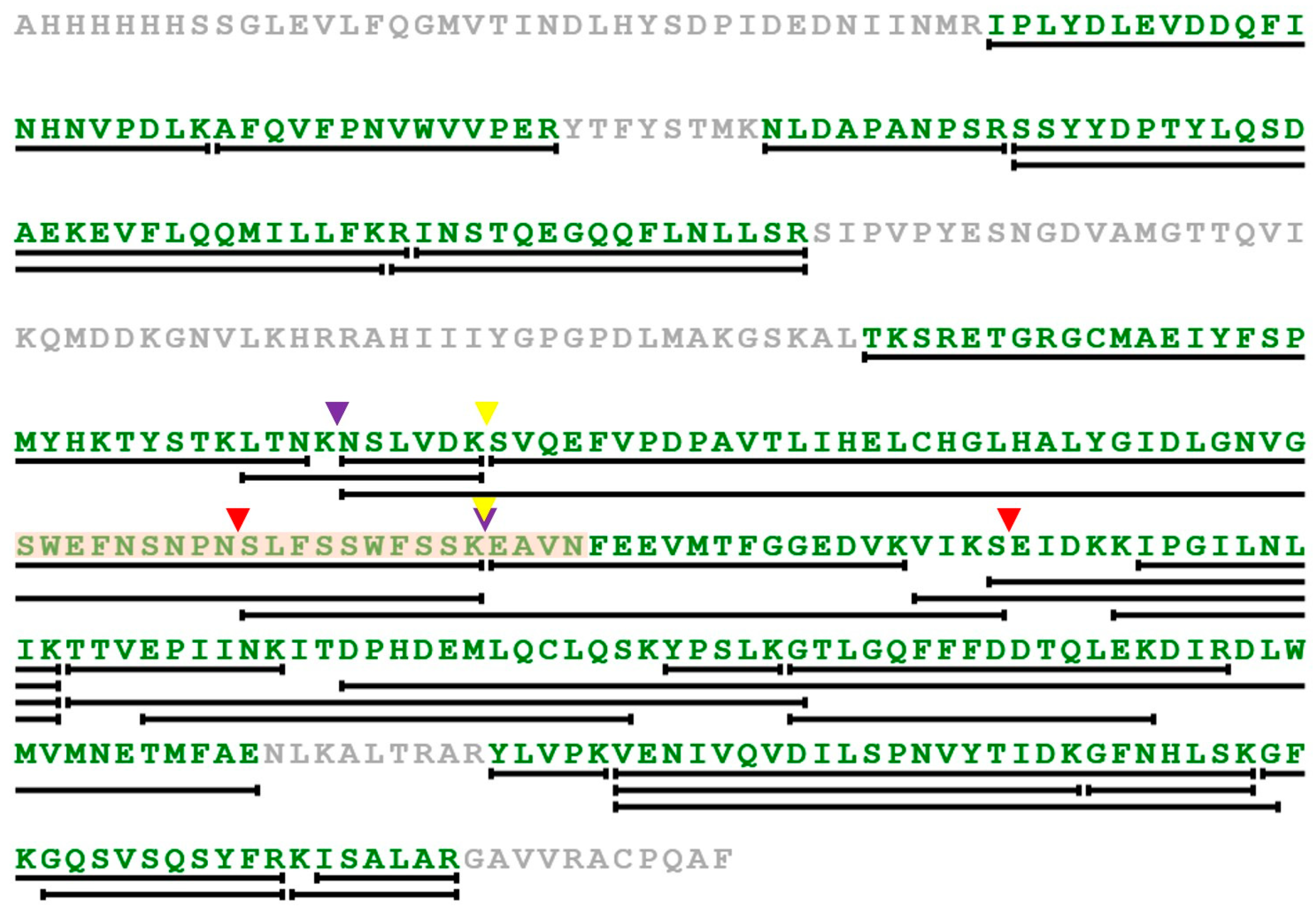 Ijms 24 12721 g009 Ijms 24 12721 g009