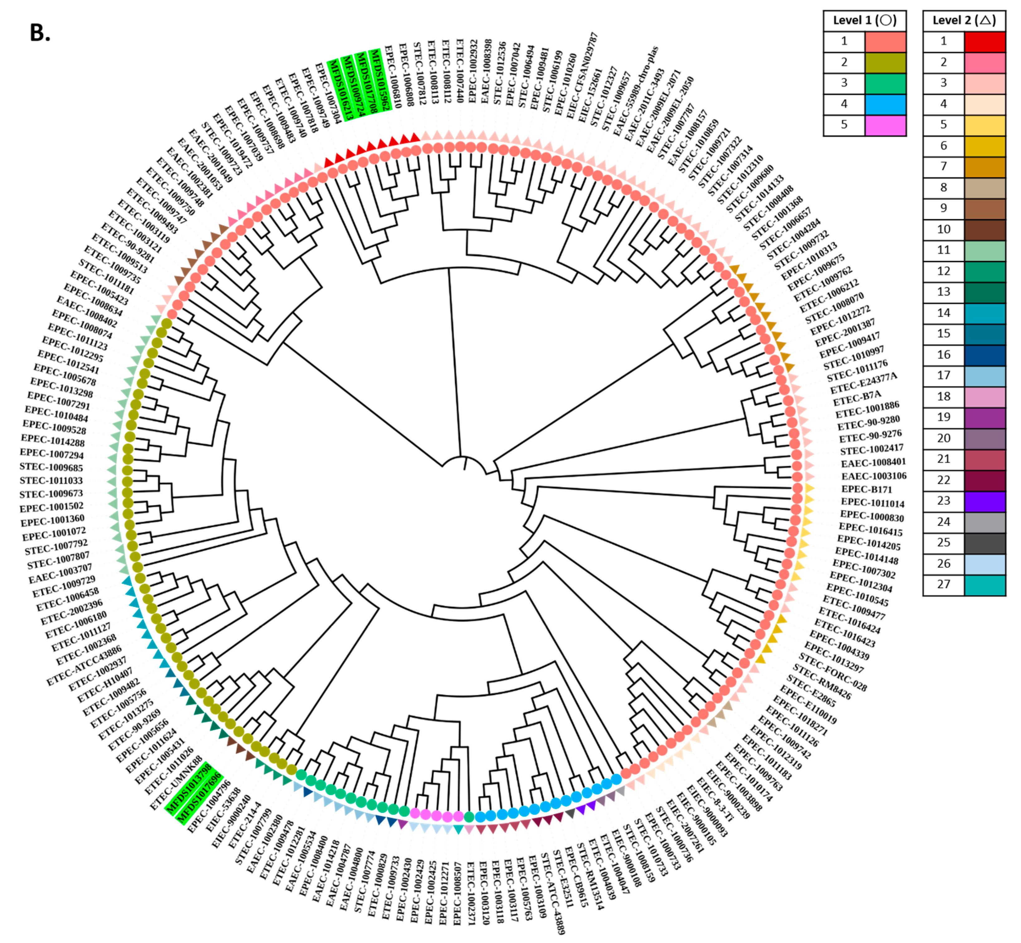 Ijms 24 12729 g004b Ijms 24 12729 g004b