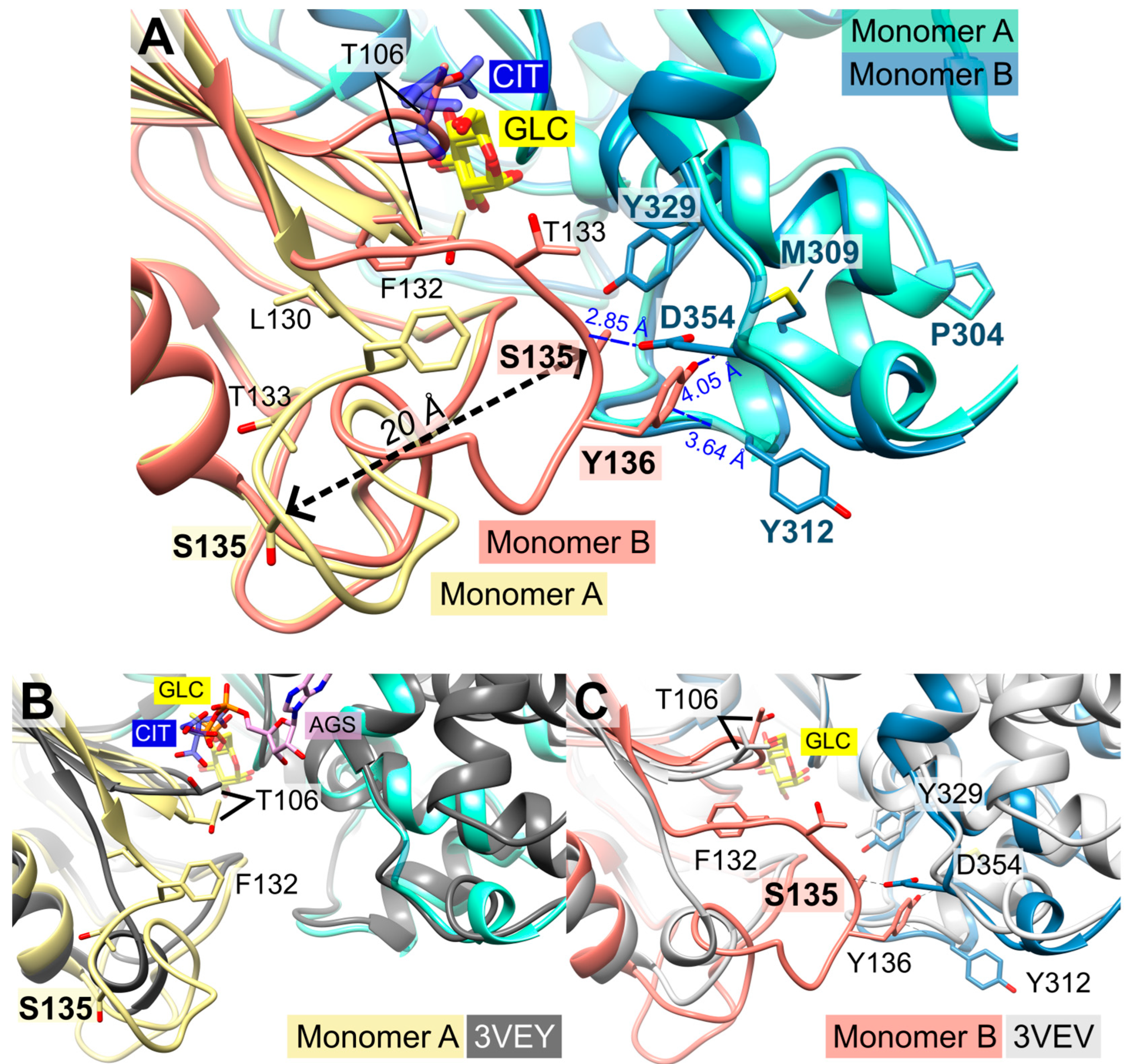 Ijms 24 12739 g004 Ijms 24 12739 g004