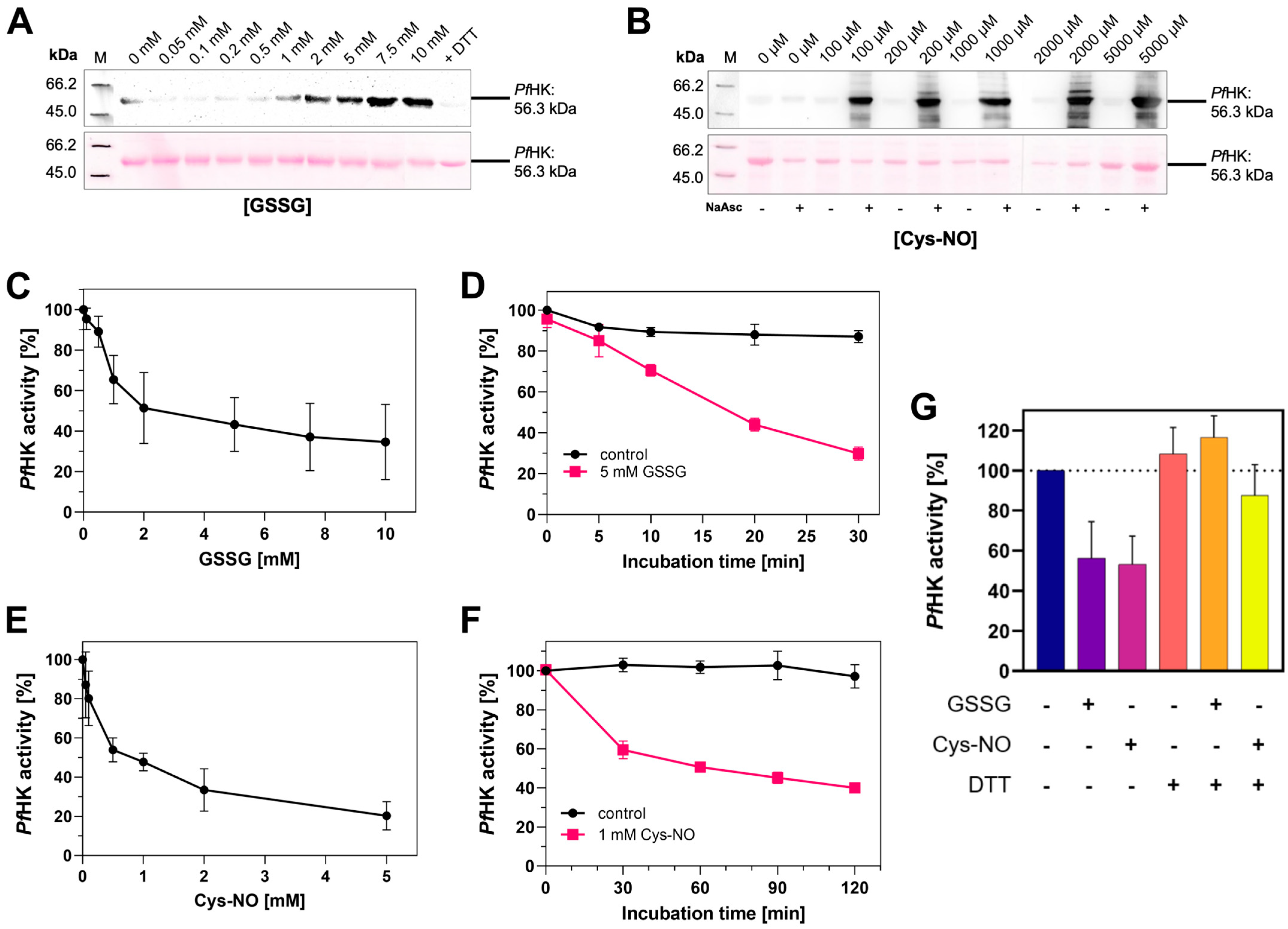 Ijms 24 12739 g008 Ijms 24 12739 g008
