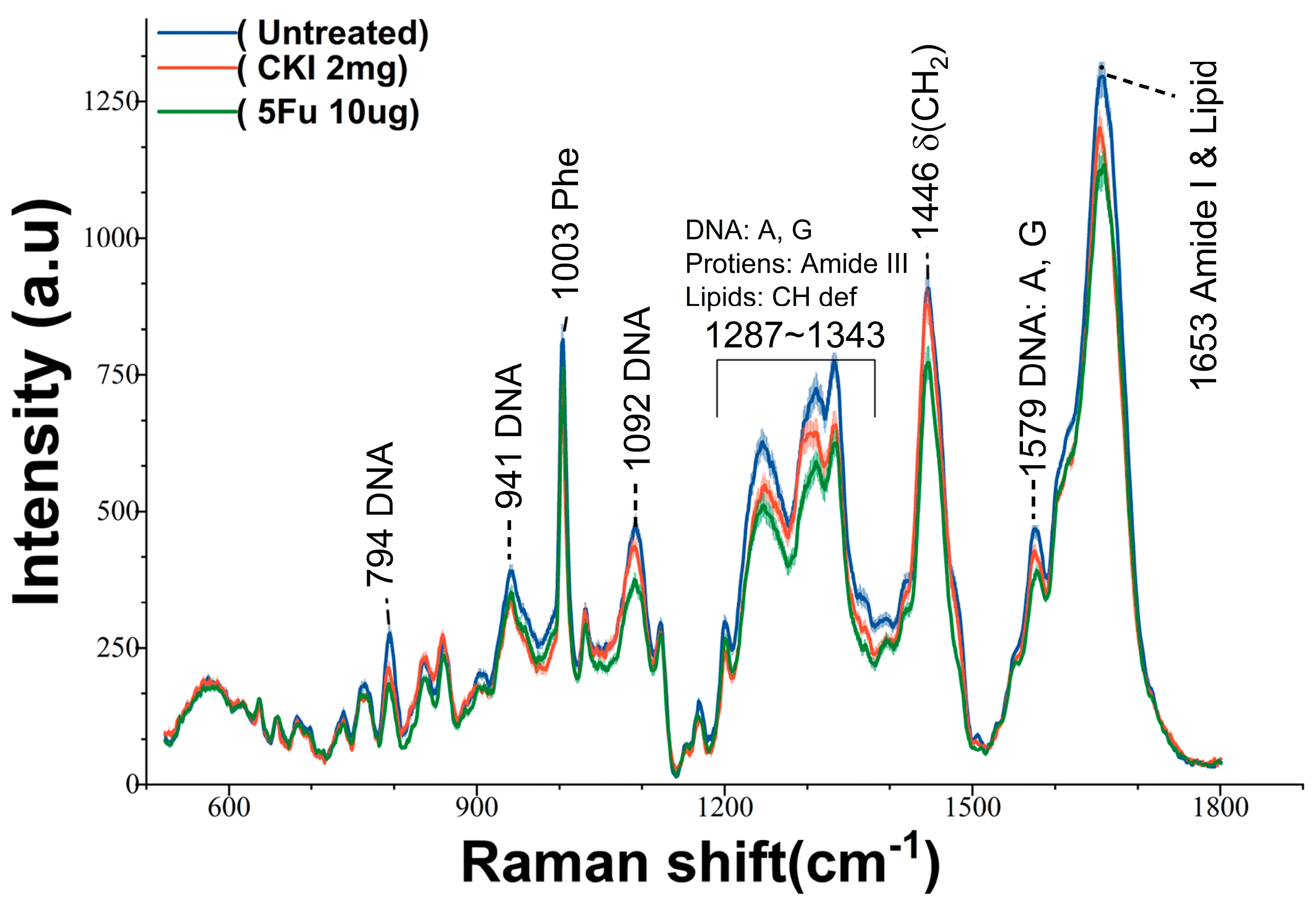 Ijms 24 12750 g002 Ijms 24 12750 g002