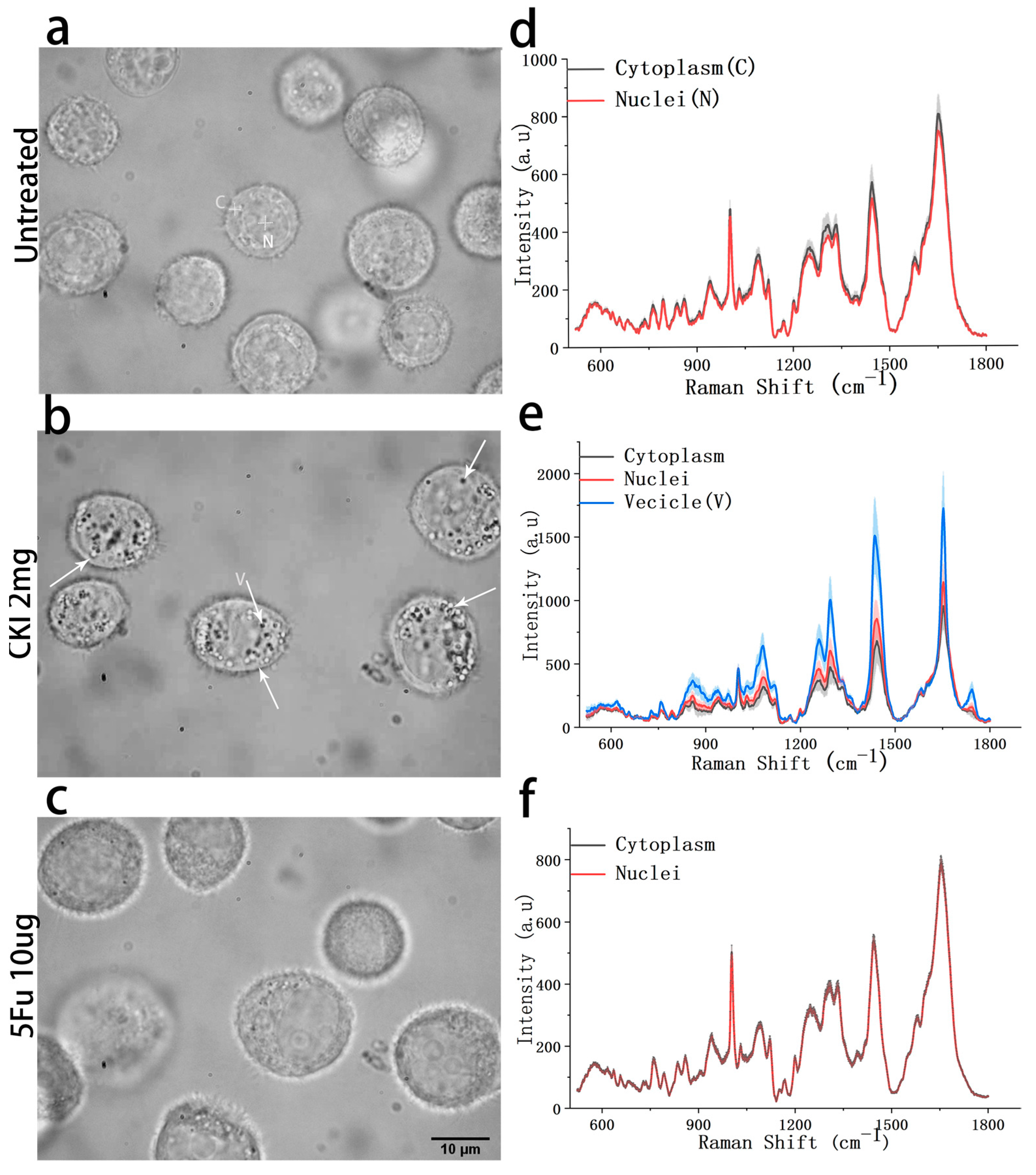 Ijms 24 12750 g005 Ijms 24 12750 g005