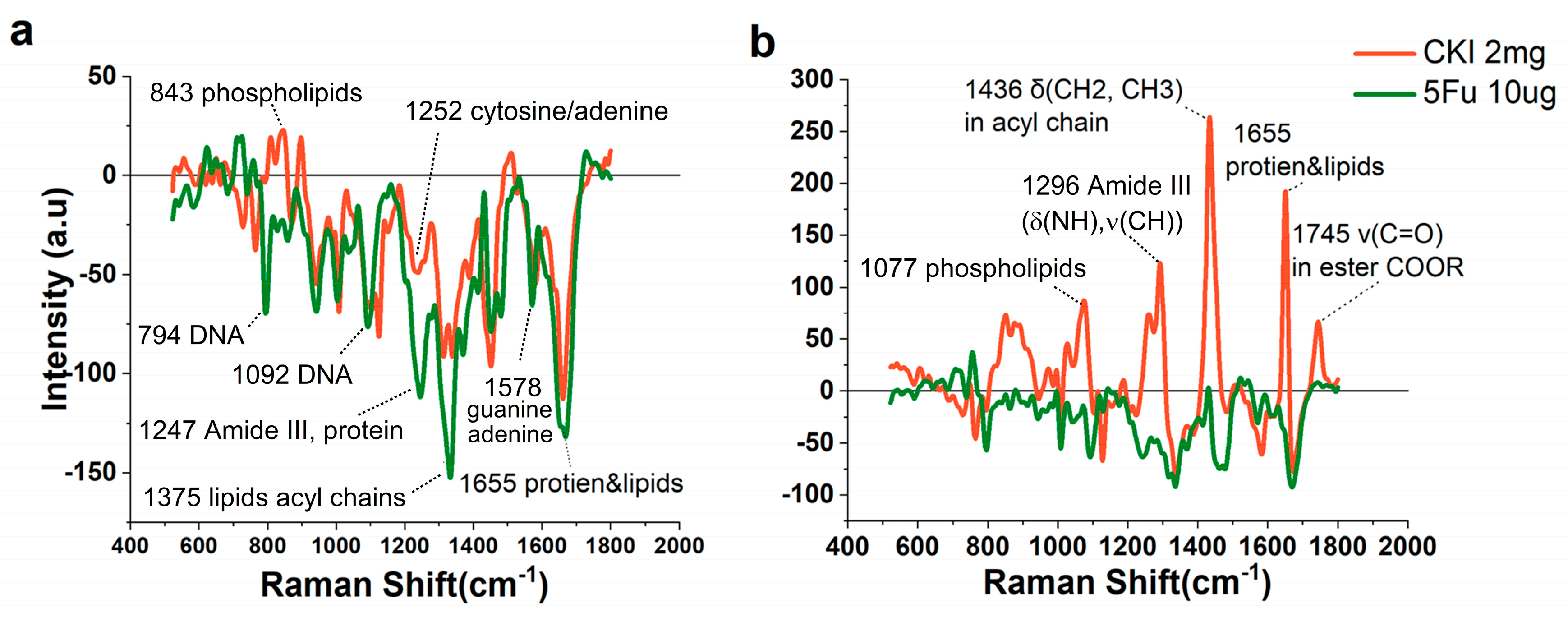 Ijms 24 12750 g006 Ijms 24 12750 g006