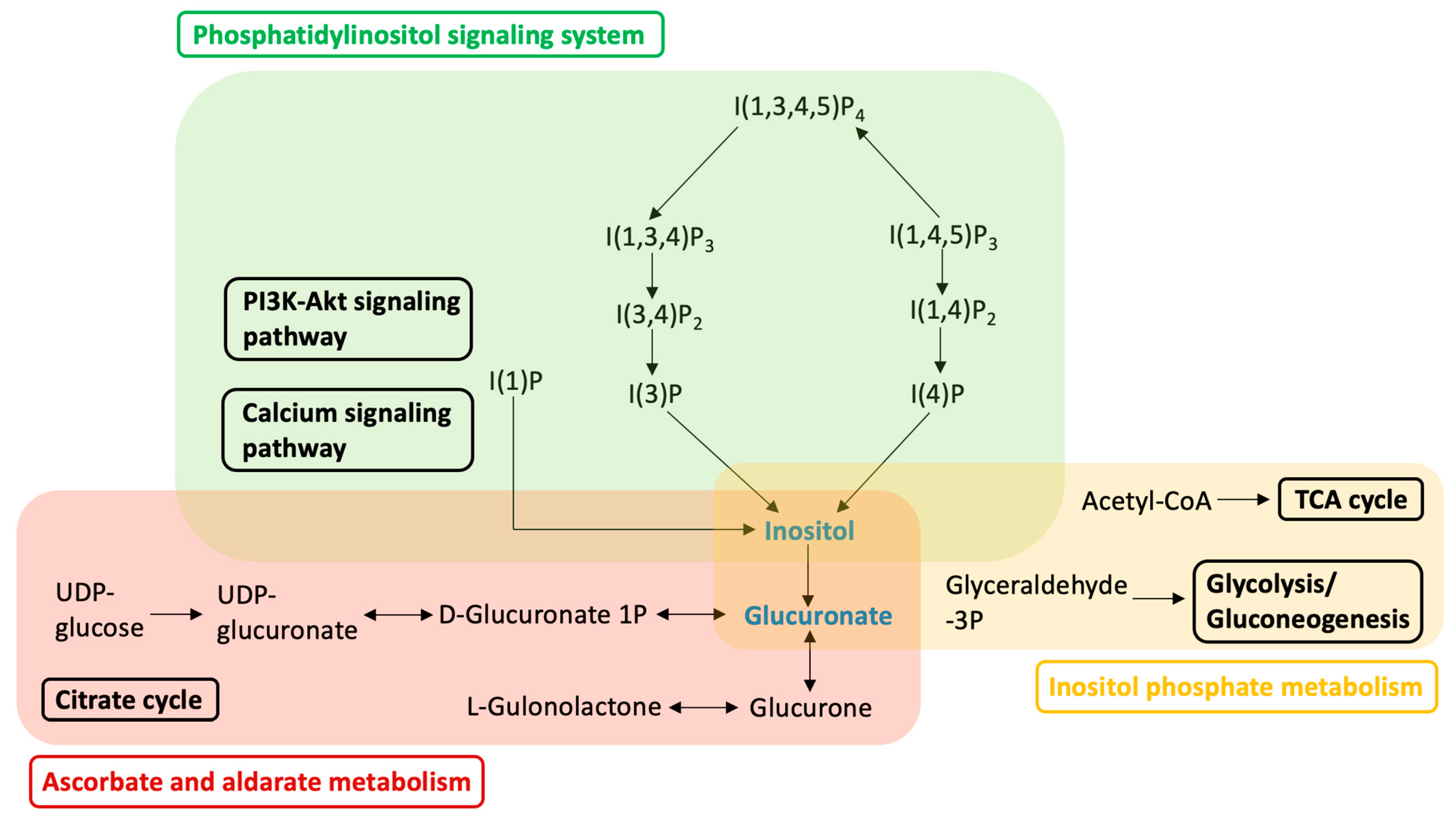 Ijms 24 12752 g004 Ijms 24 12752 g004