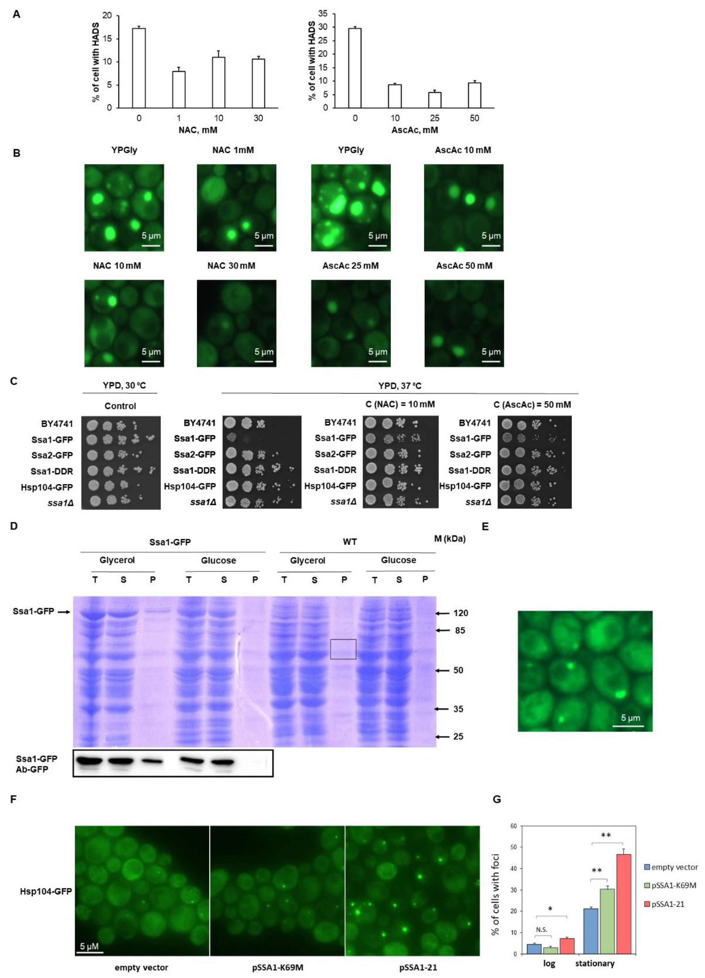 Ijms 24 12758 g003 Ijms 24 12758 g003