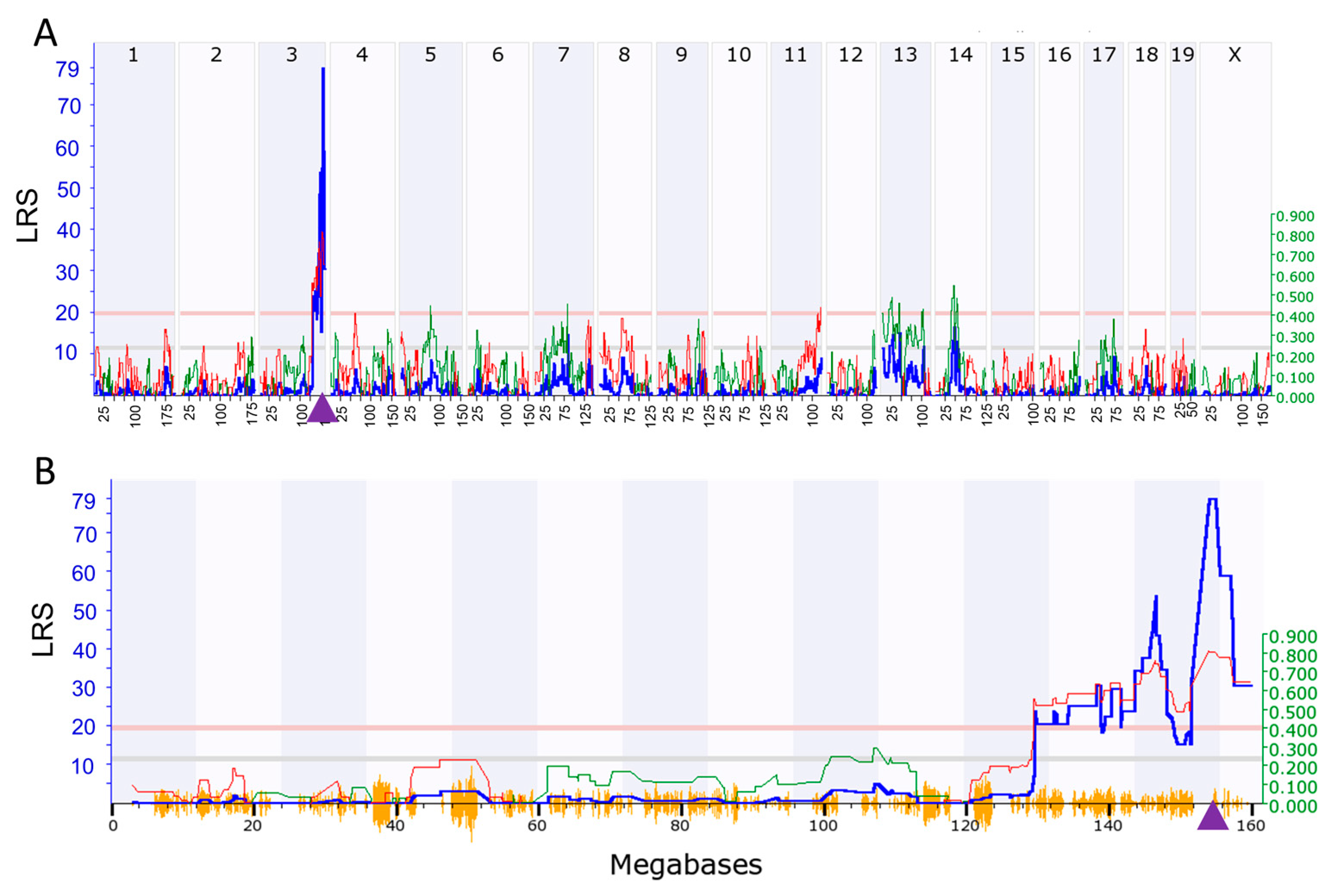 Ijms 24 12759 g003 Ijms 24 12759 g003