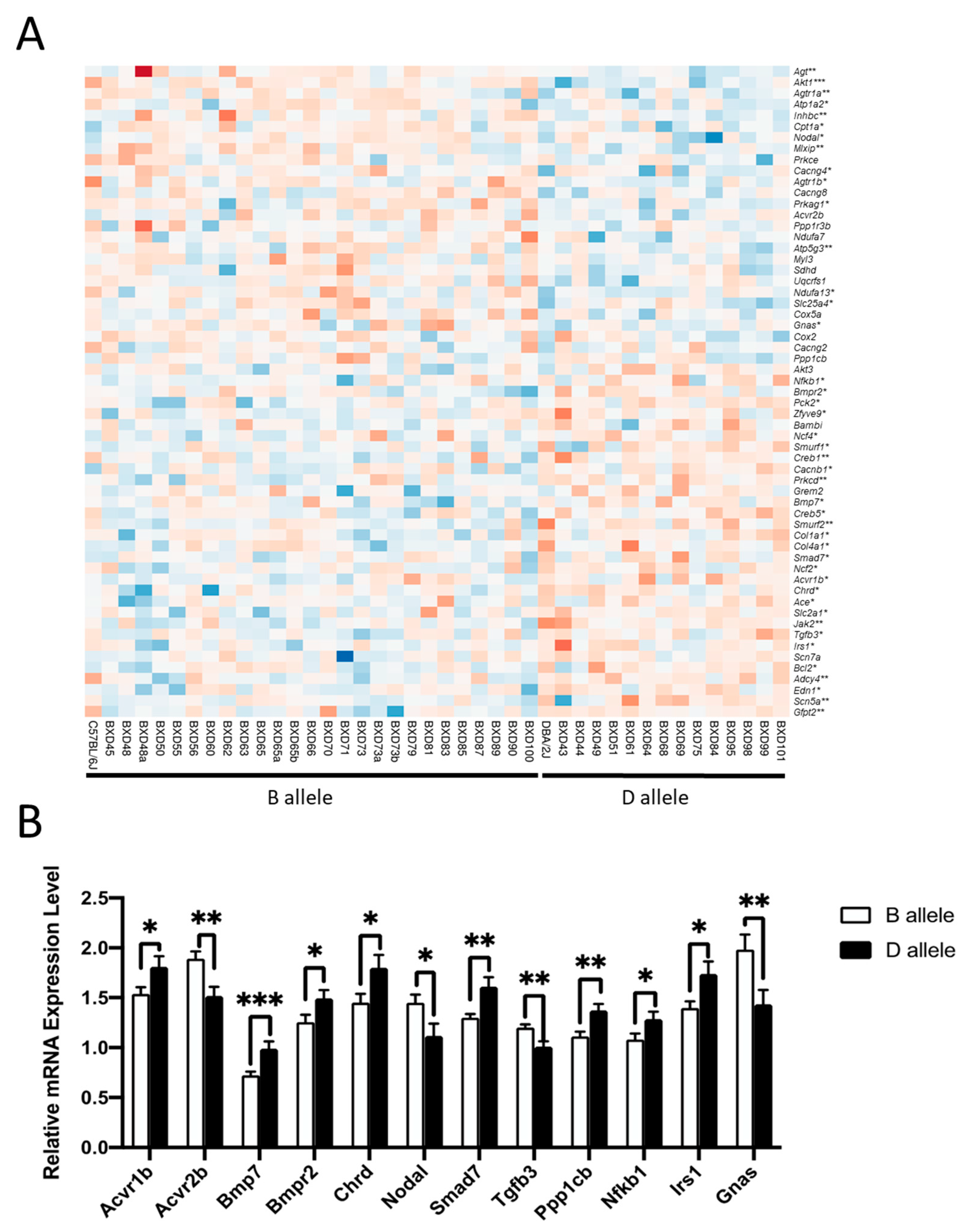 Ijms 24 12759 g006 Ijms 24 12759 g006