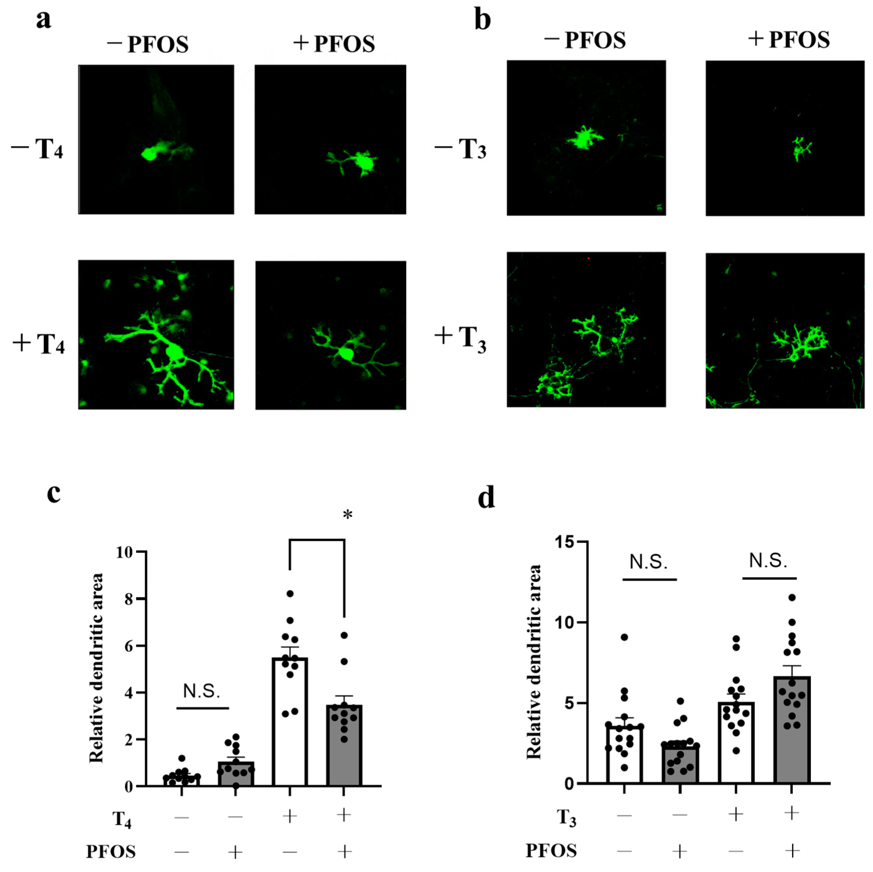 Ijms 24 12765 g001 Ijms 24 12765 g001