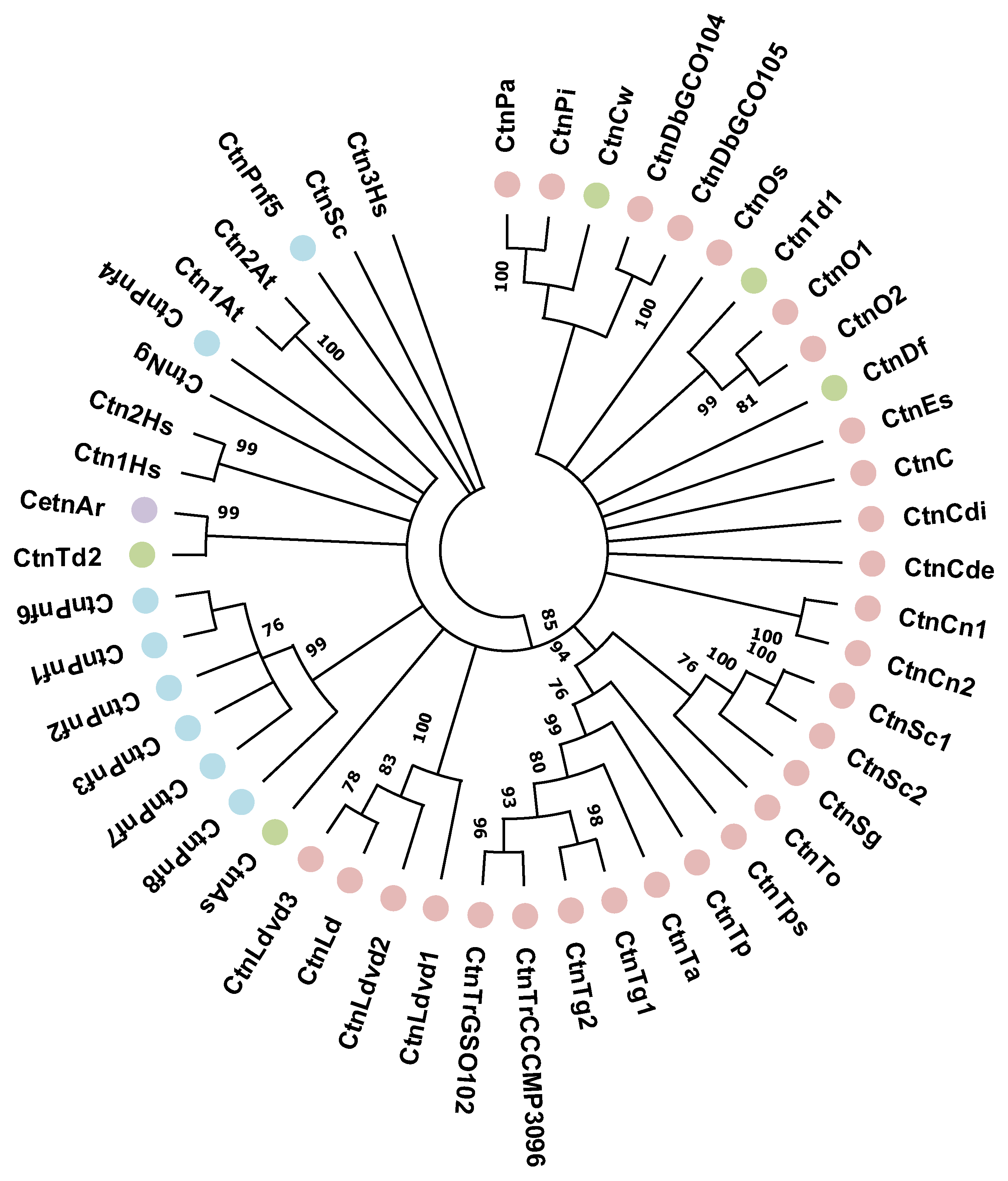 Ijms 24 12781 g004 Ijms 24 12781 g004