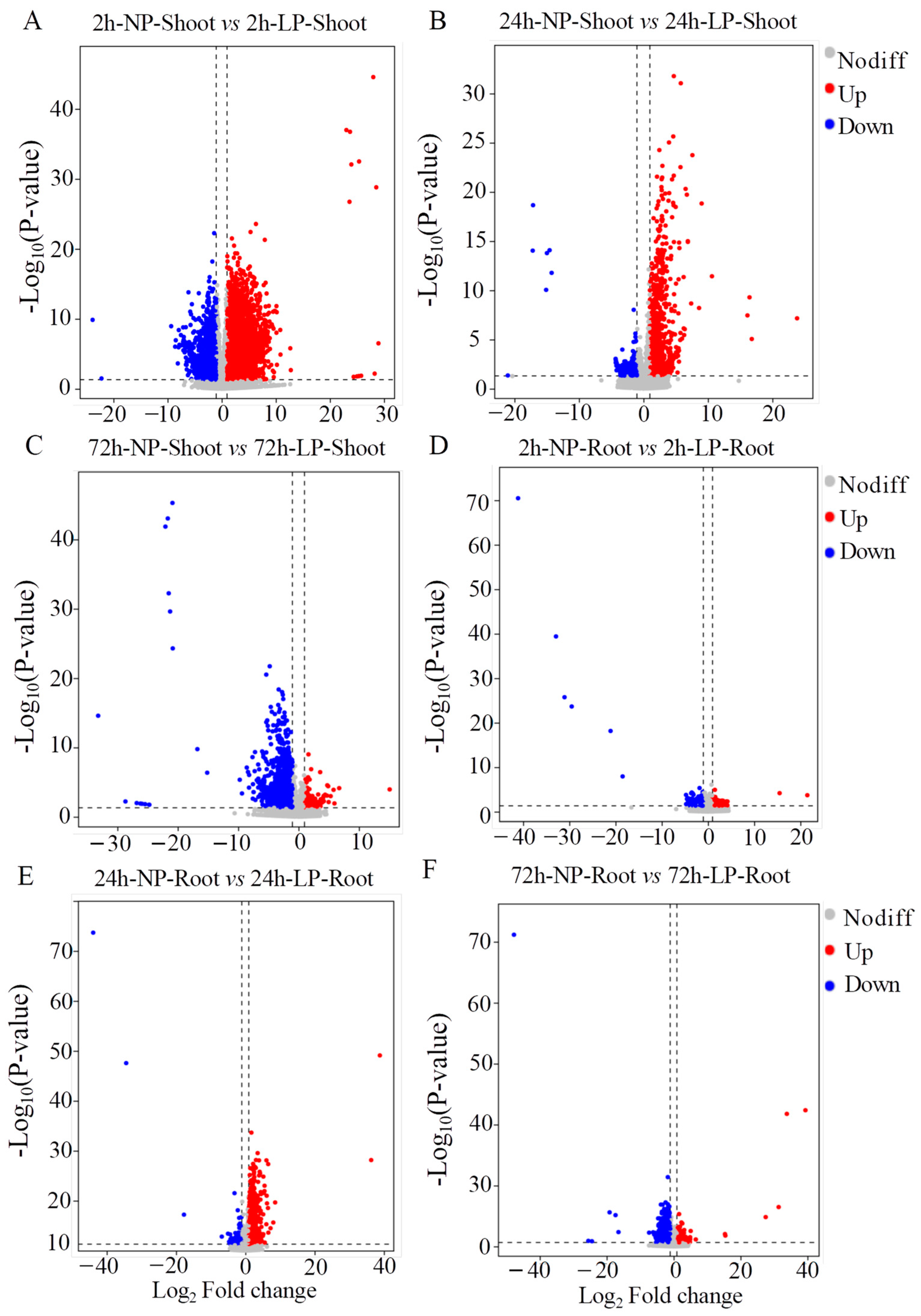 Ijms 24 12786 g002 Ijms 24 12786 g002