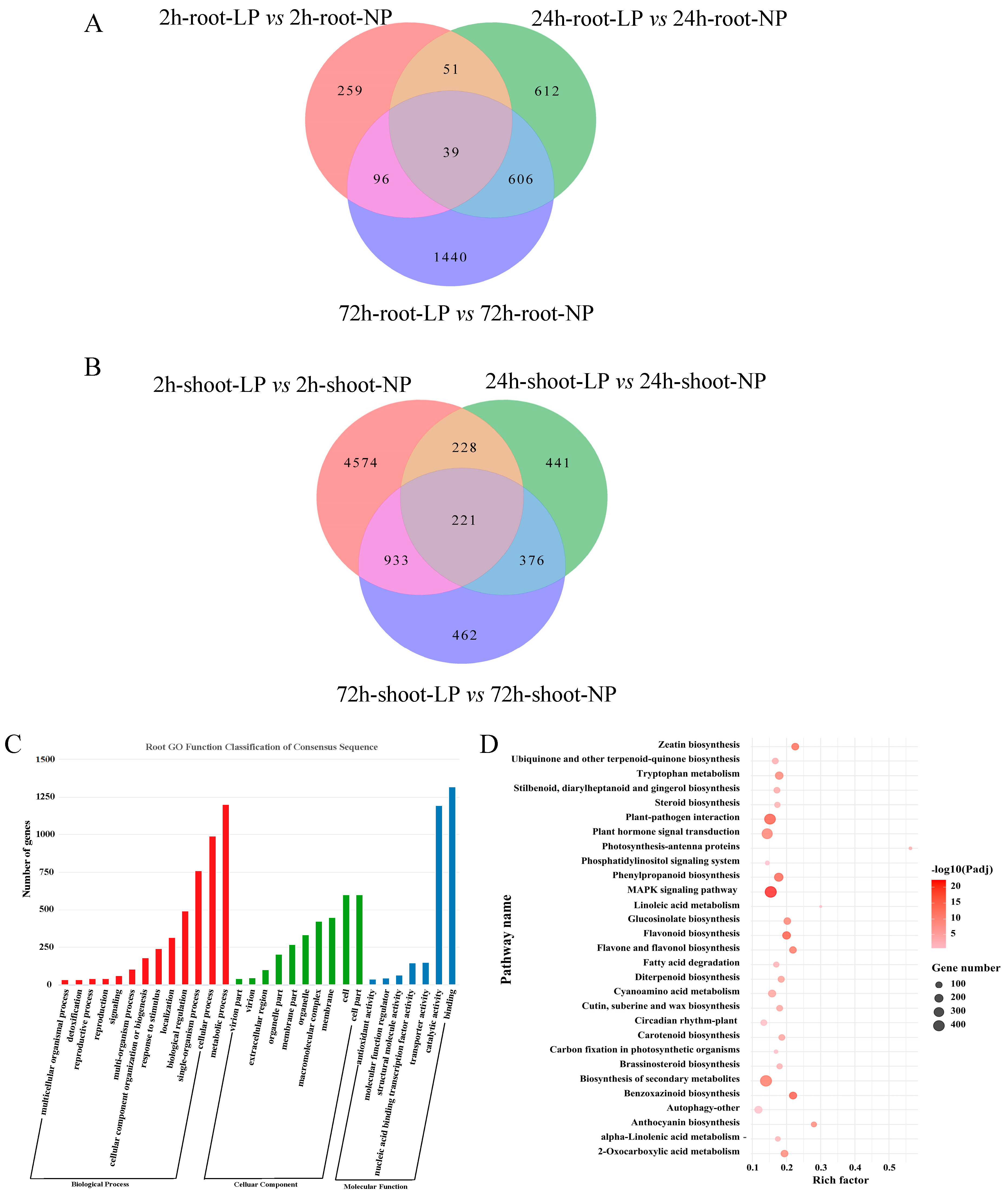 Ijms 24 12786 g003 Ijms 24 12786 g003