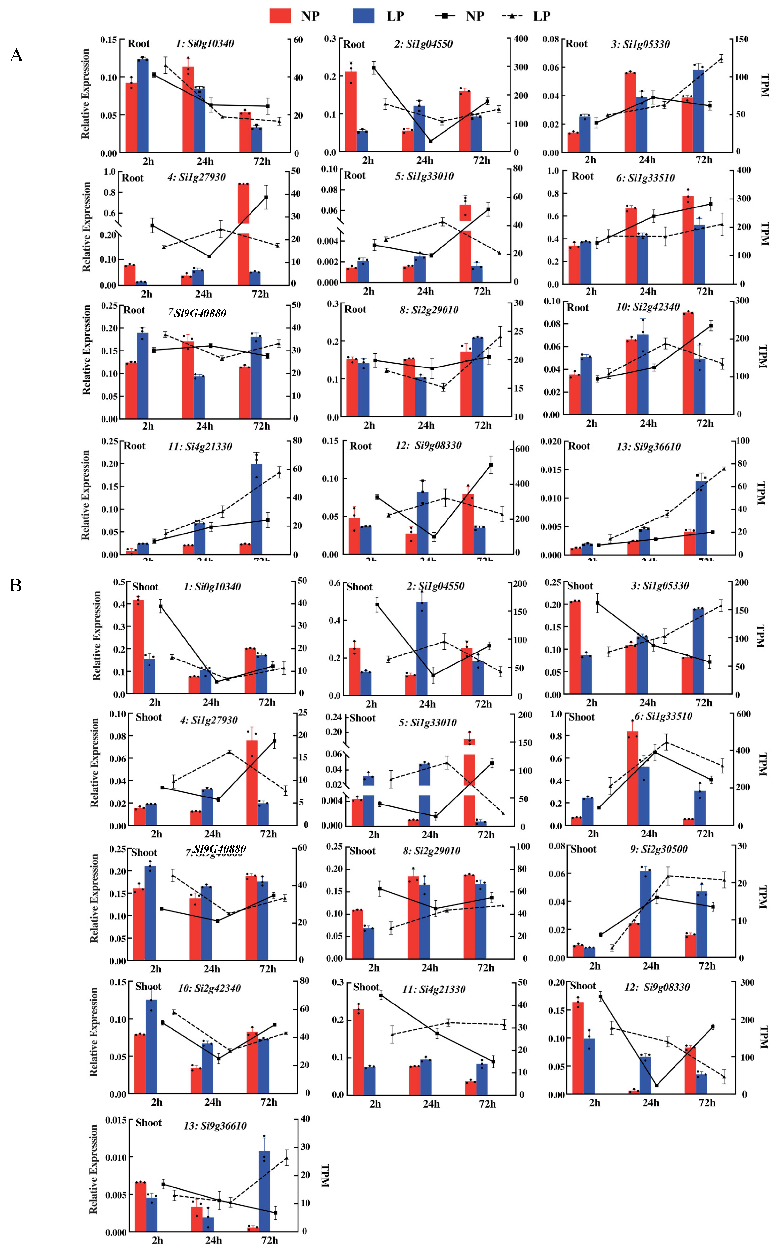 Ijms 24 12786 g004 Ijms 24 12786 g004