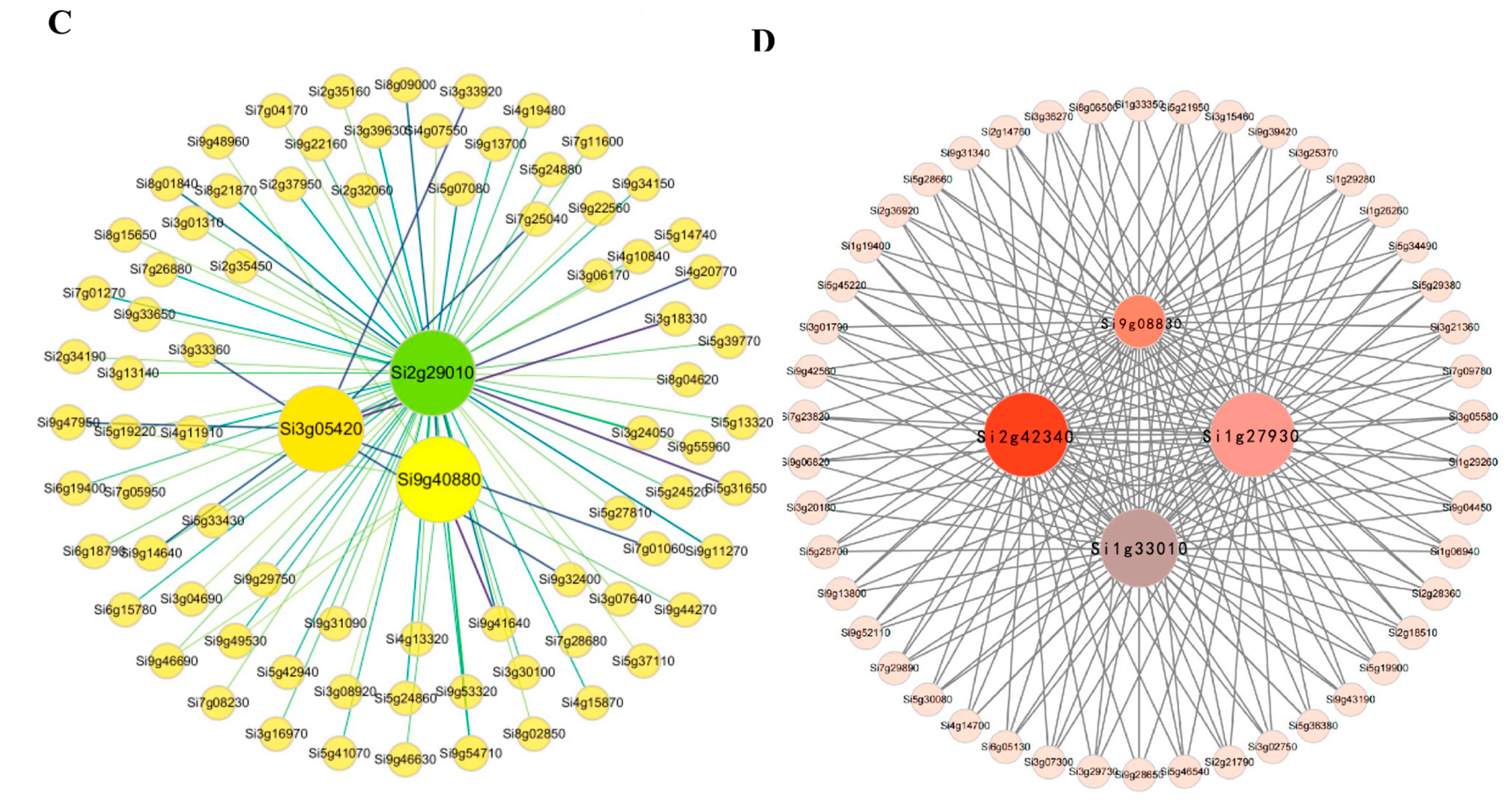 Ijms 24 12786 g005b Ijms 24 12786 g005b