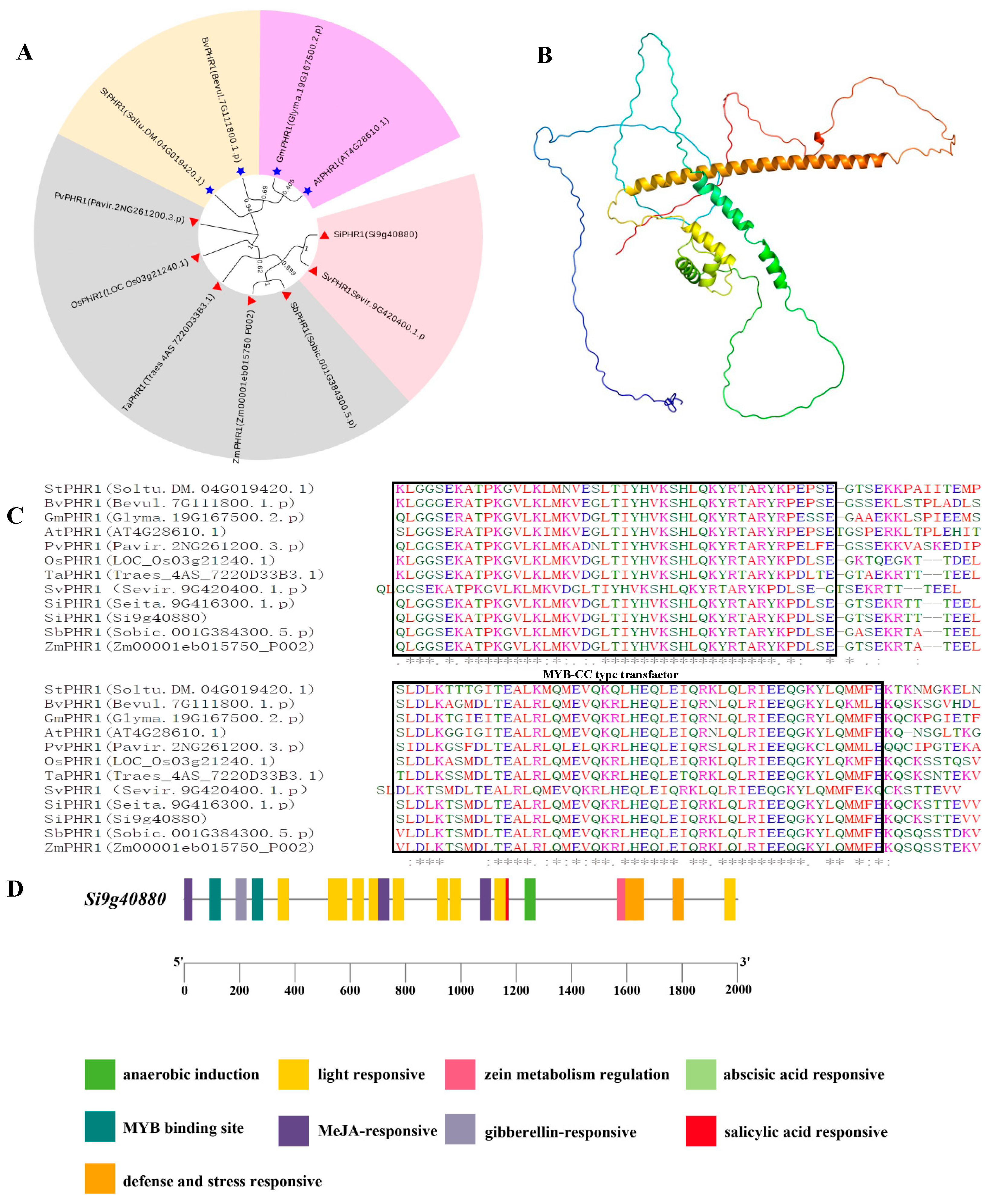 Ijms 24 12786 g006 Ijms 24 12786 g006