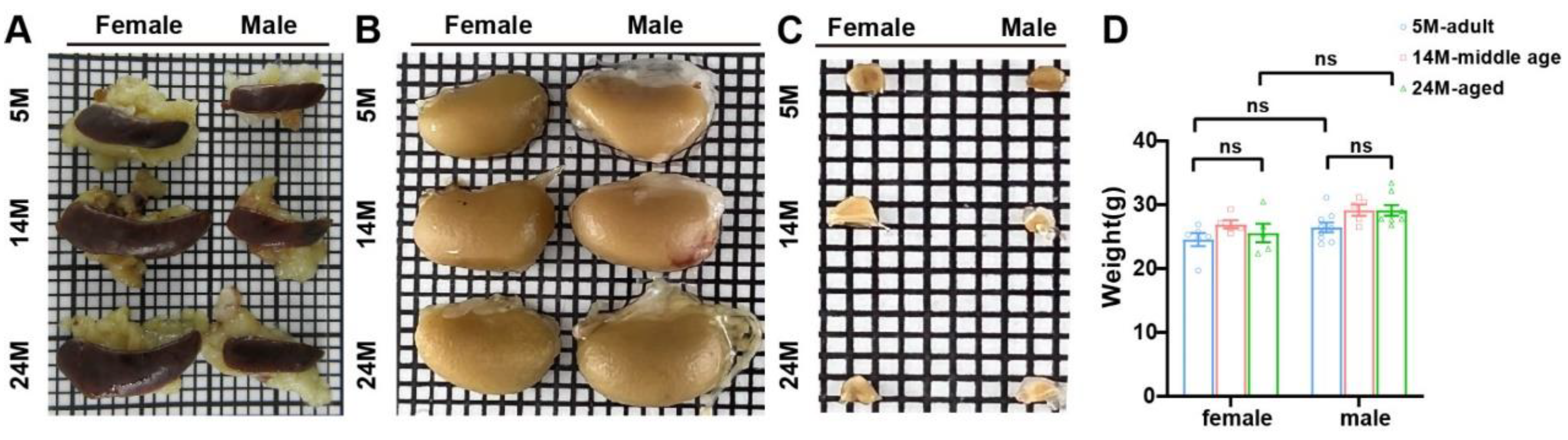 Ijms 24 12790 g003 Ijms 24 12790 g003