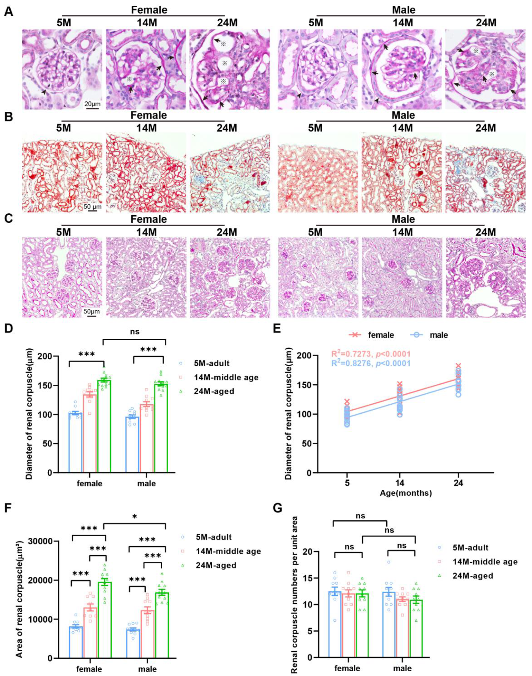 Ijms 24 12790 g004 Ijms 24 12790 g004