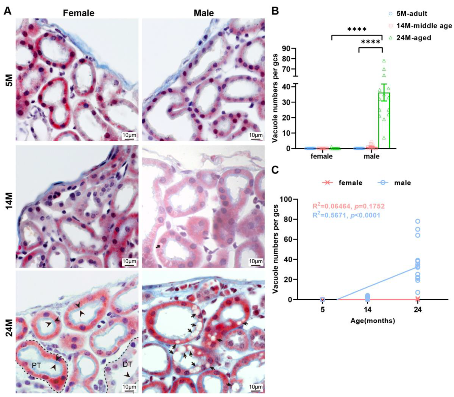 Ijms 24 12790 g005 Ijms 24 12790 g005