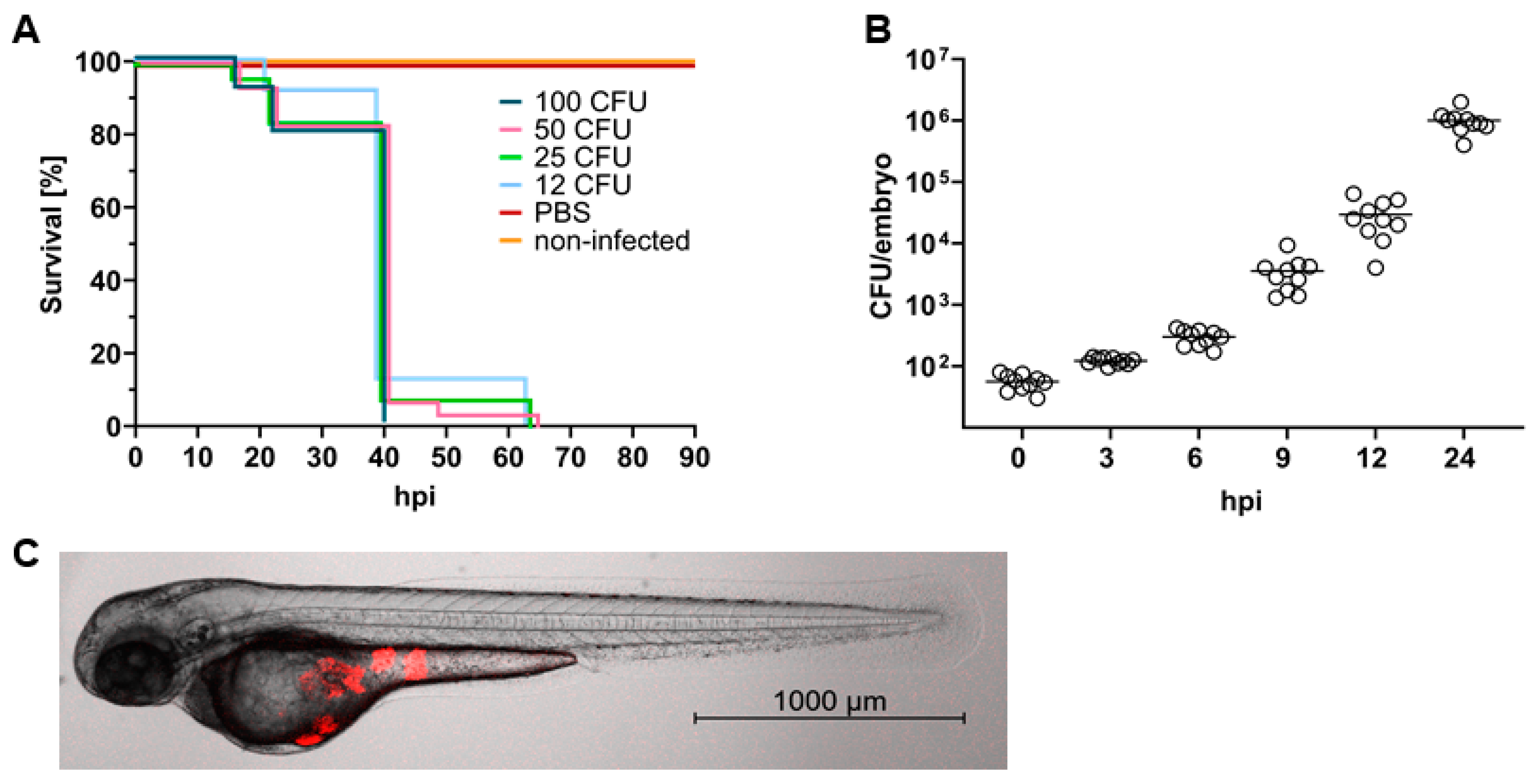 Ijms 24 12791 g001 Ijms 24 12791 g001