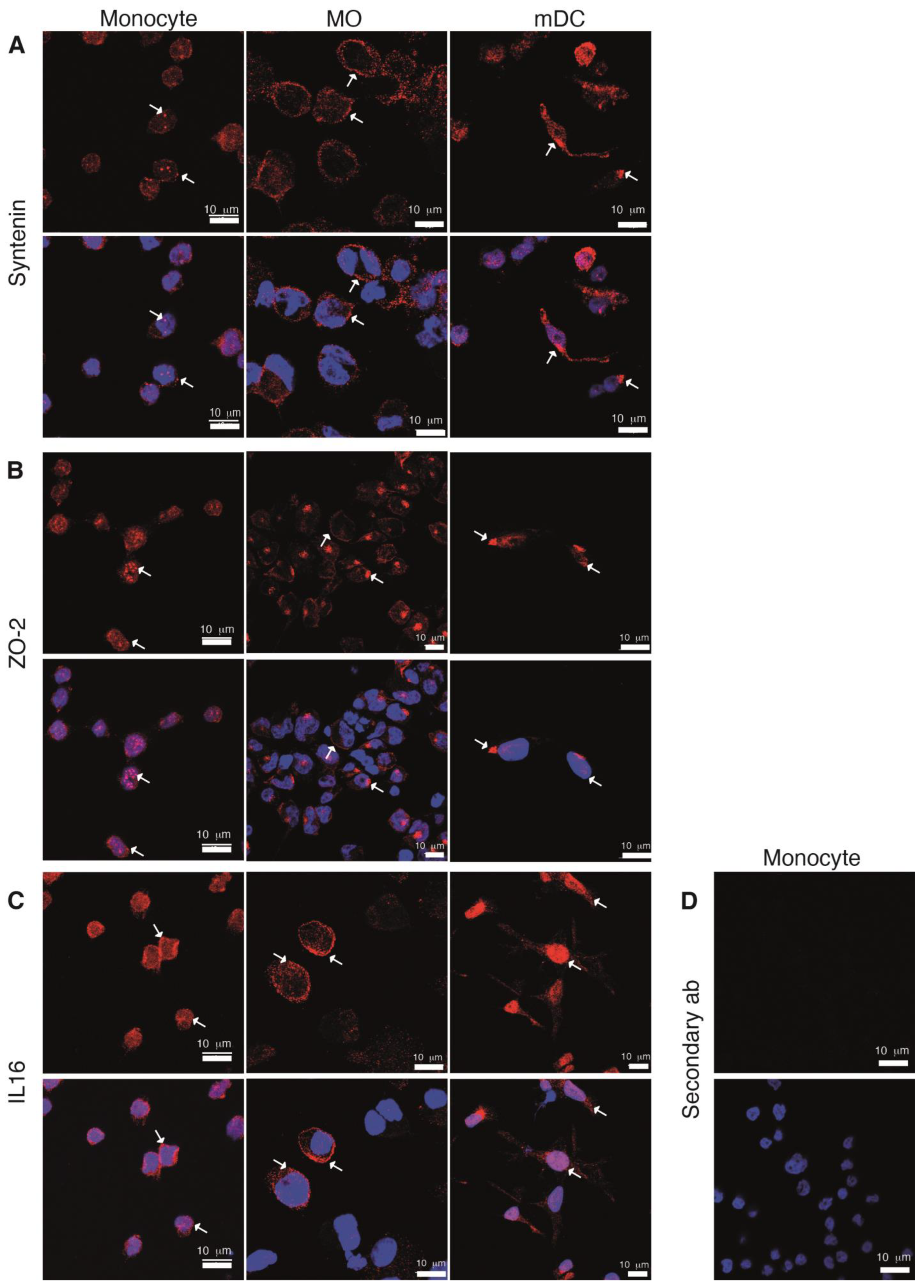 Ijms 24 12793 g005 Ijms 24 12793 g005