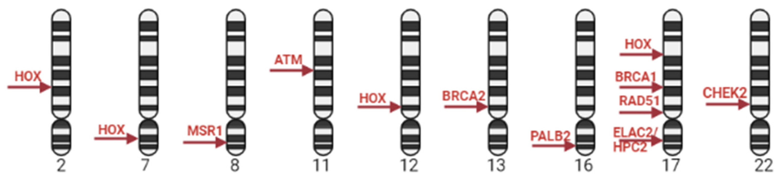 Ijms 24 12797 g001 Ijms 24 12797 g001