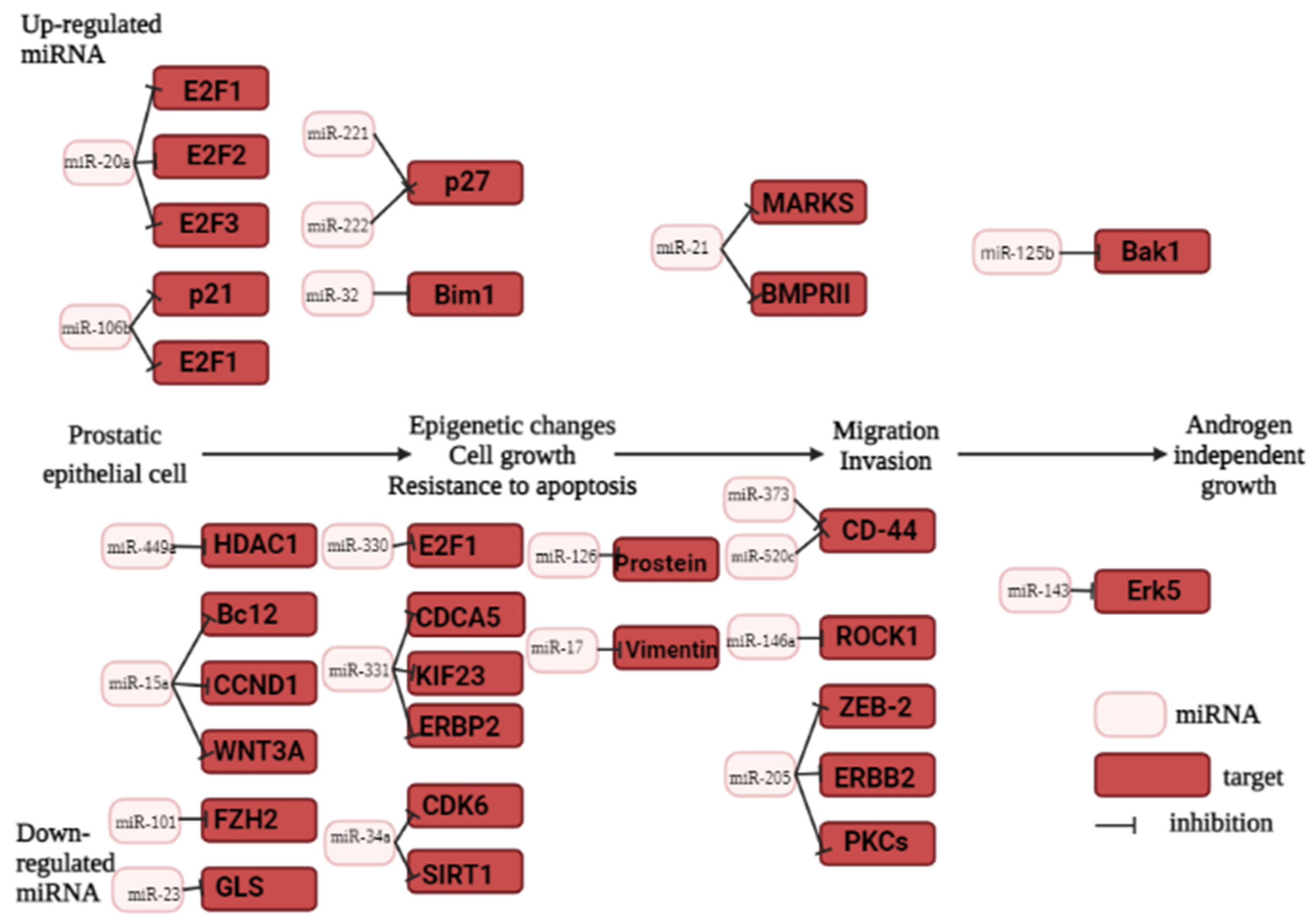 Ijms 24 12797 g002 Ijms 24 12797 g002