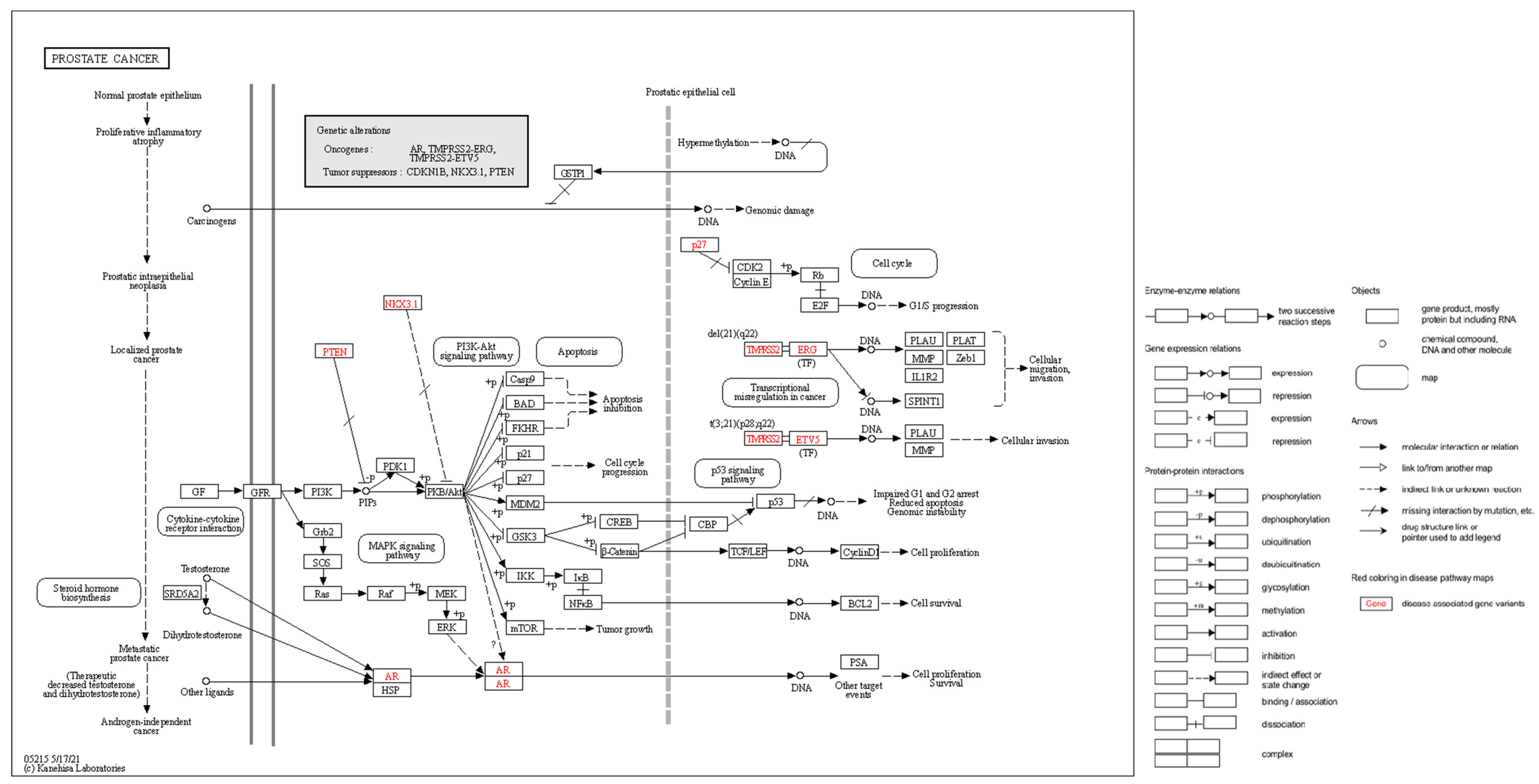 Ijms 24 12797 g003 Ijms 24 12797 g003
