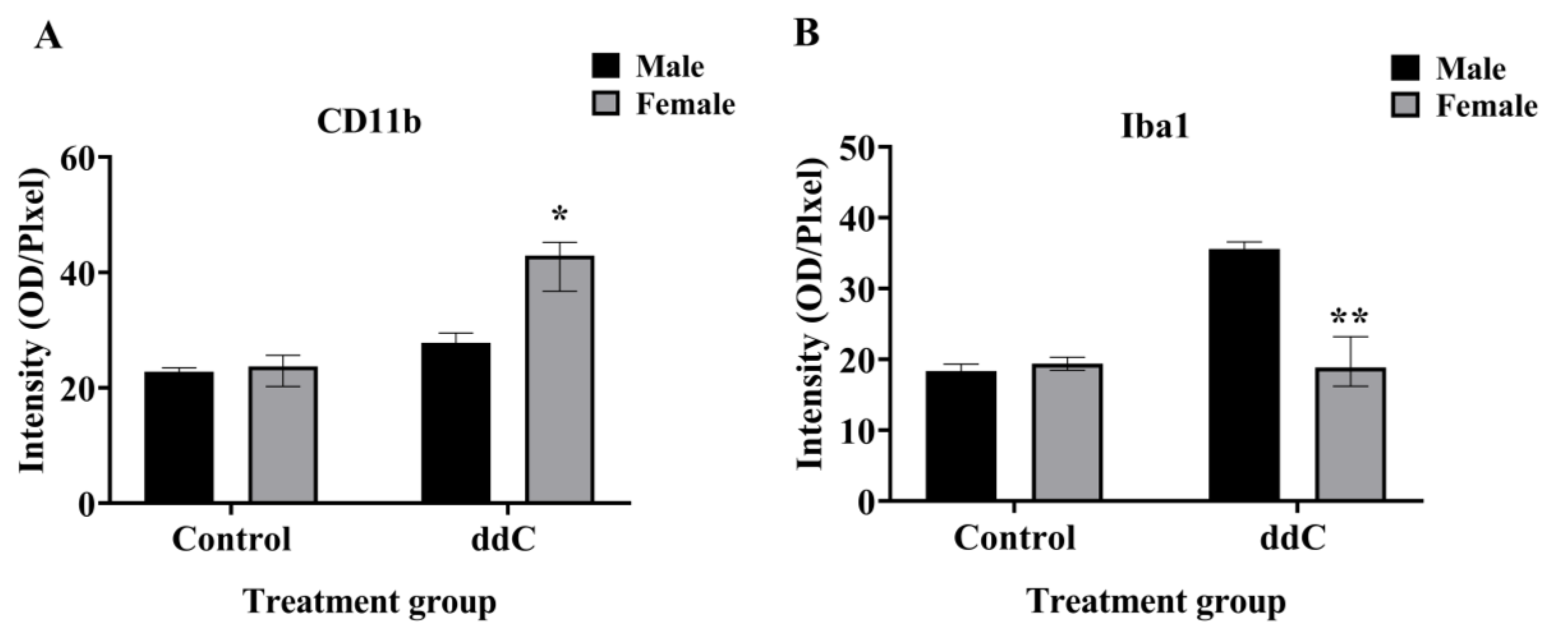 Ijms 24 12805 g003 Ijms 24 12805 g003