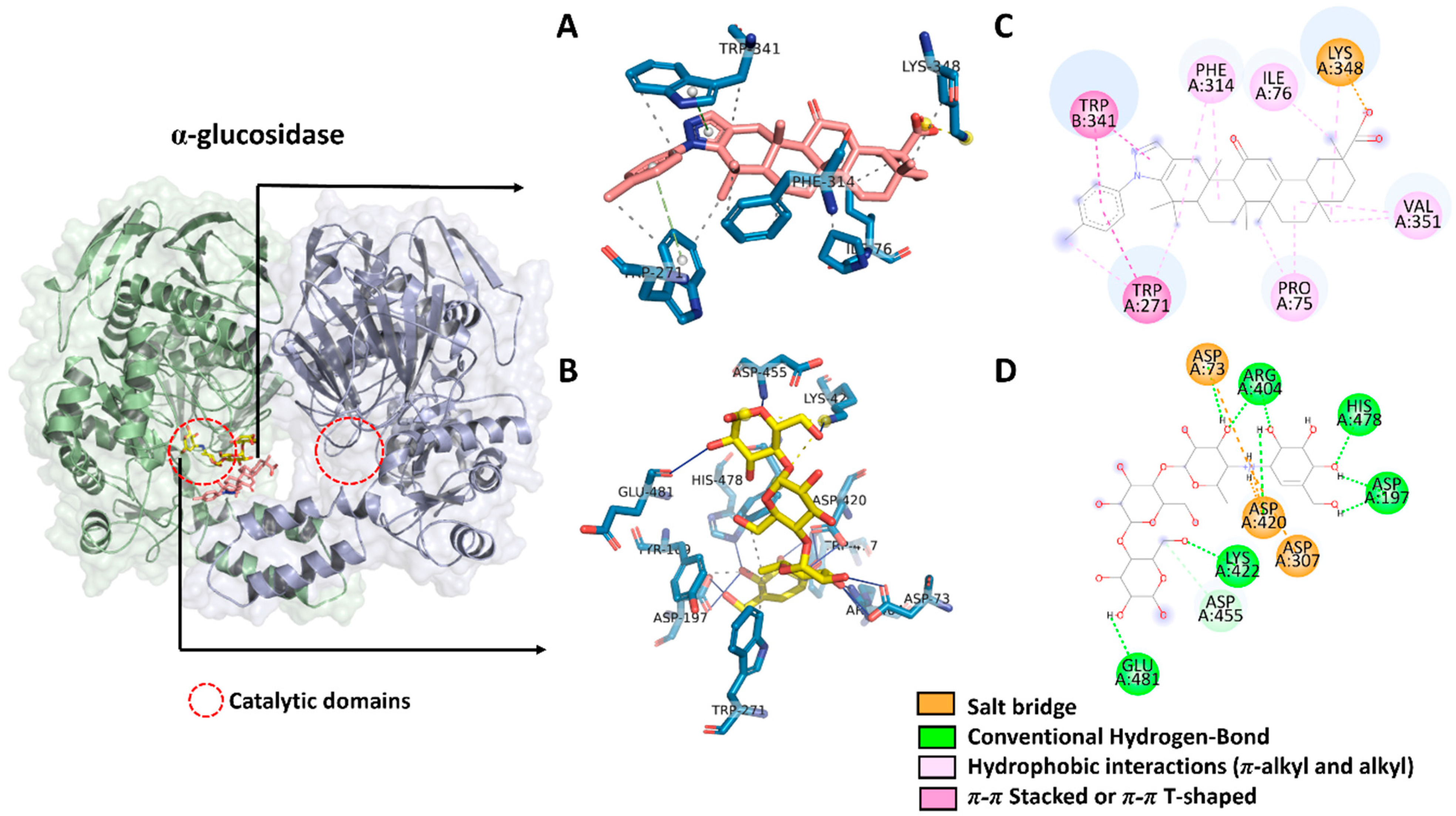 Ijms 24 12812 g003 Ijms 24 12812 g003