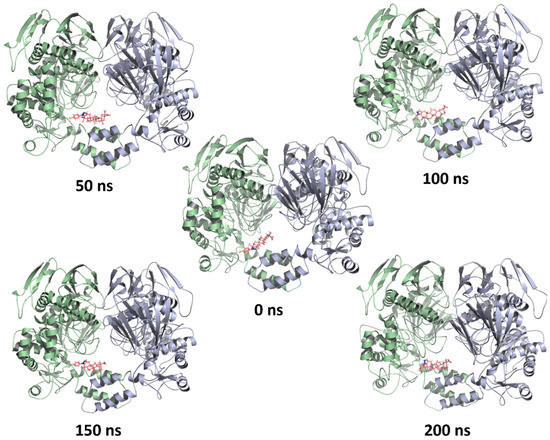 Anti-Diabetic Activity of Glycyrrhetinic Acid Derivatives FC Anti-Diabetic Activity of Glycyrrhetinic Acid Derivatives FC