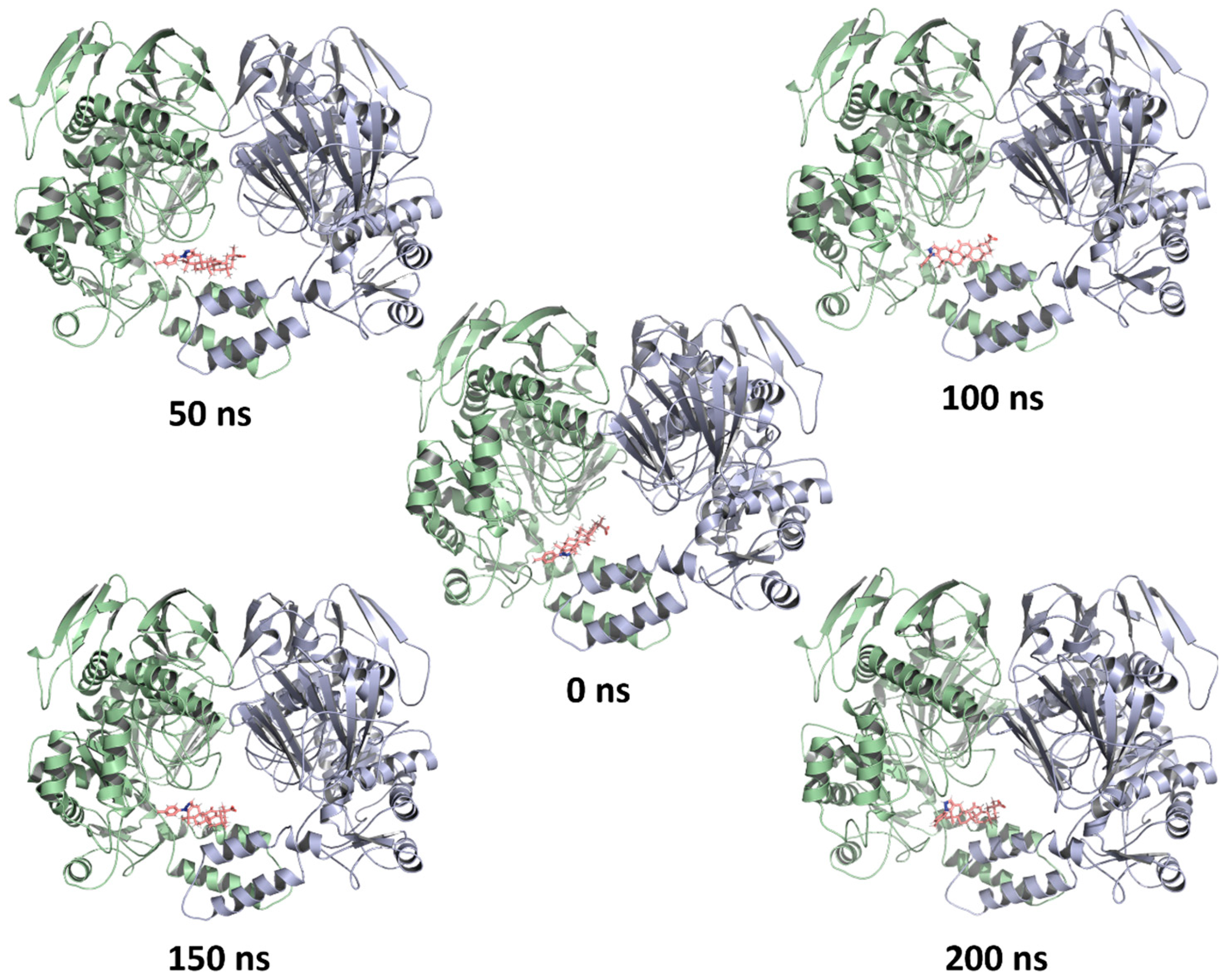 Ijms 24 12812 g005 Ijms 24 12812 g005