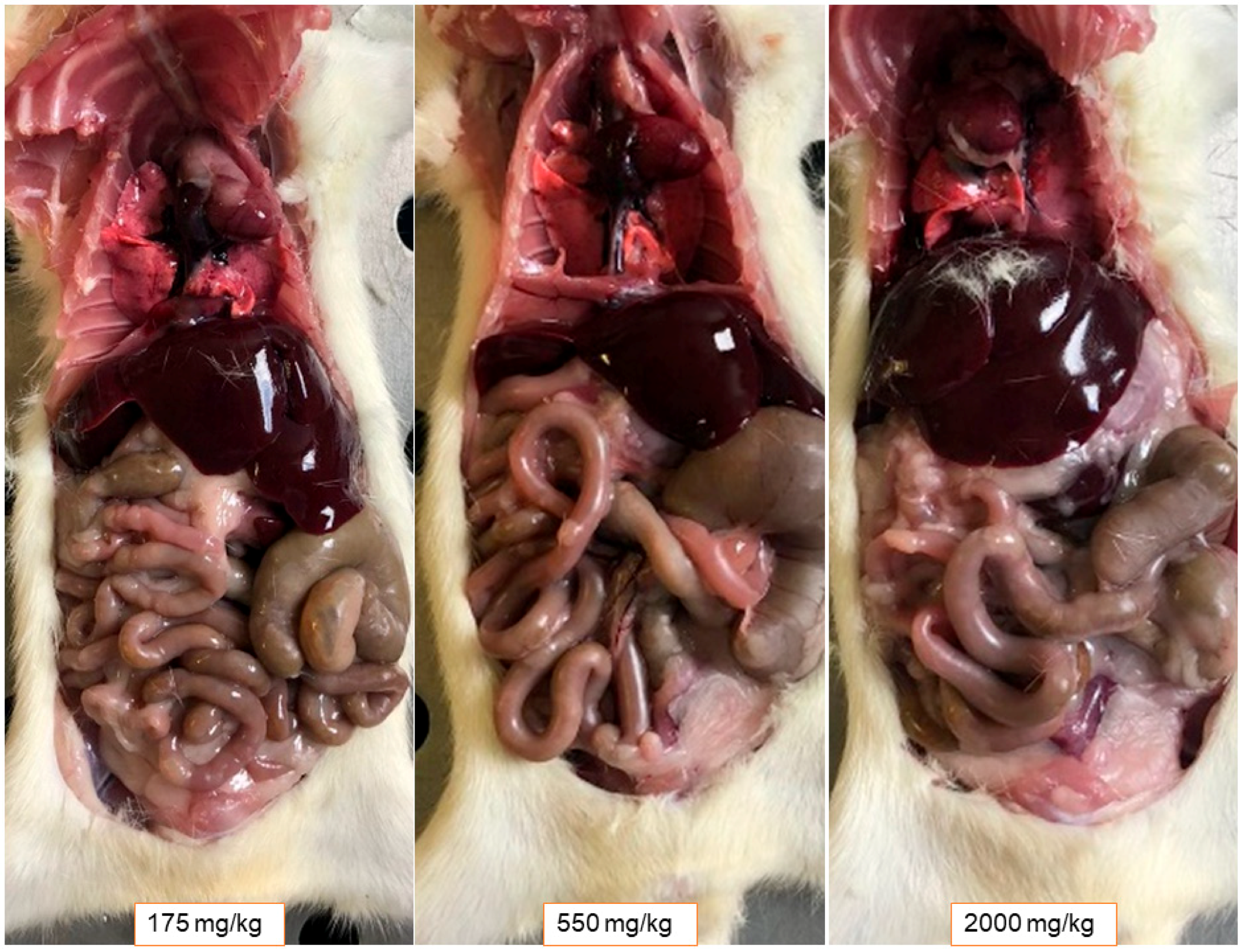 Ijms 24 12812 g007 Ijms 24 12812 g007