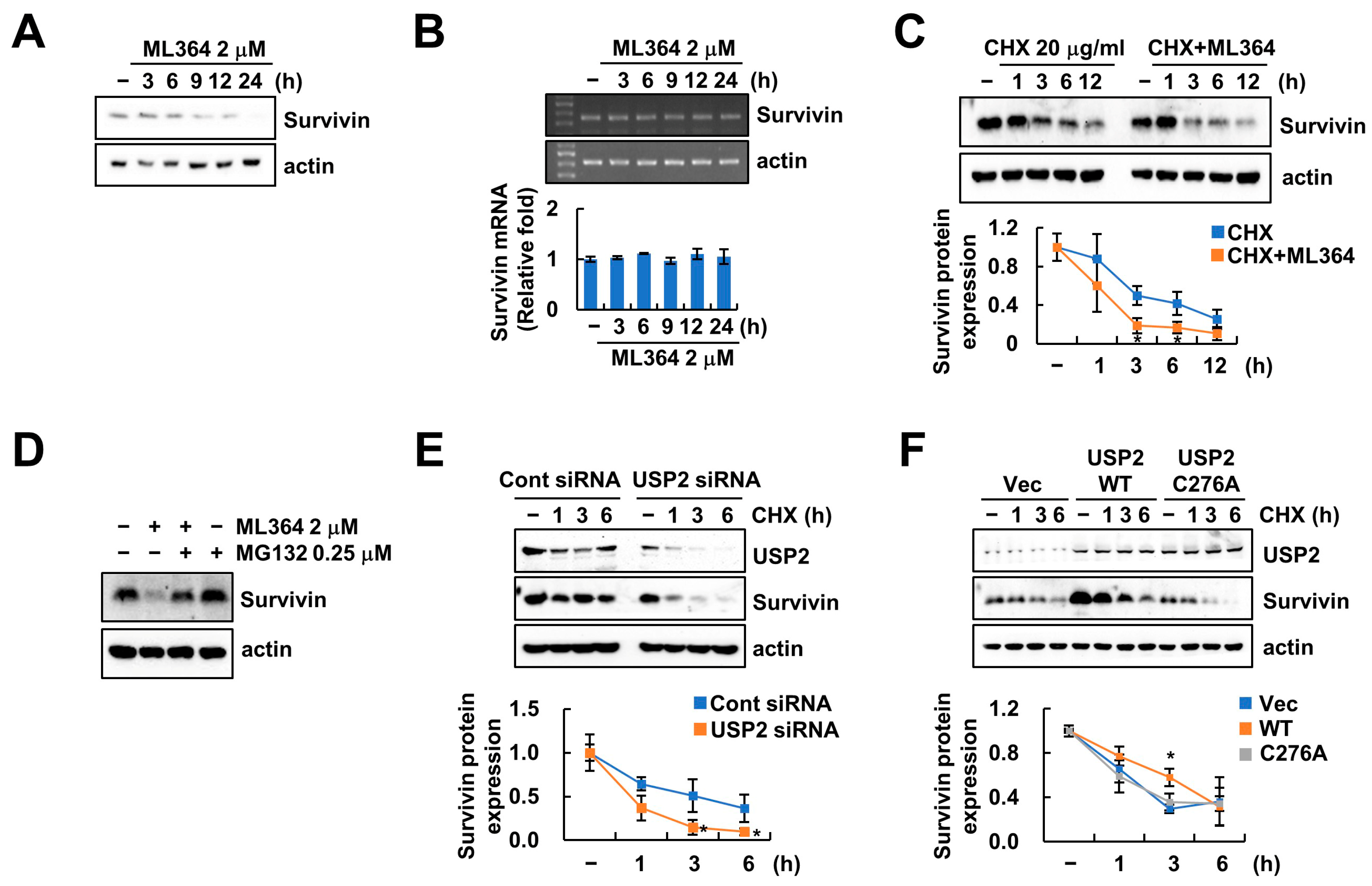 Ijms 24 12816 g002 Ijms 24 12816 g002