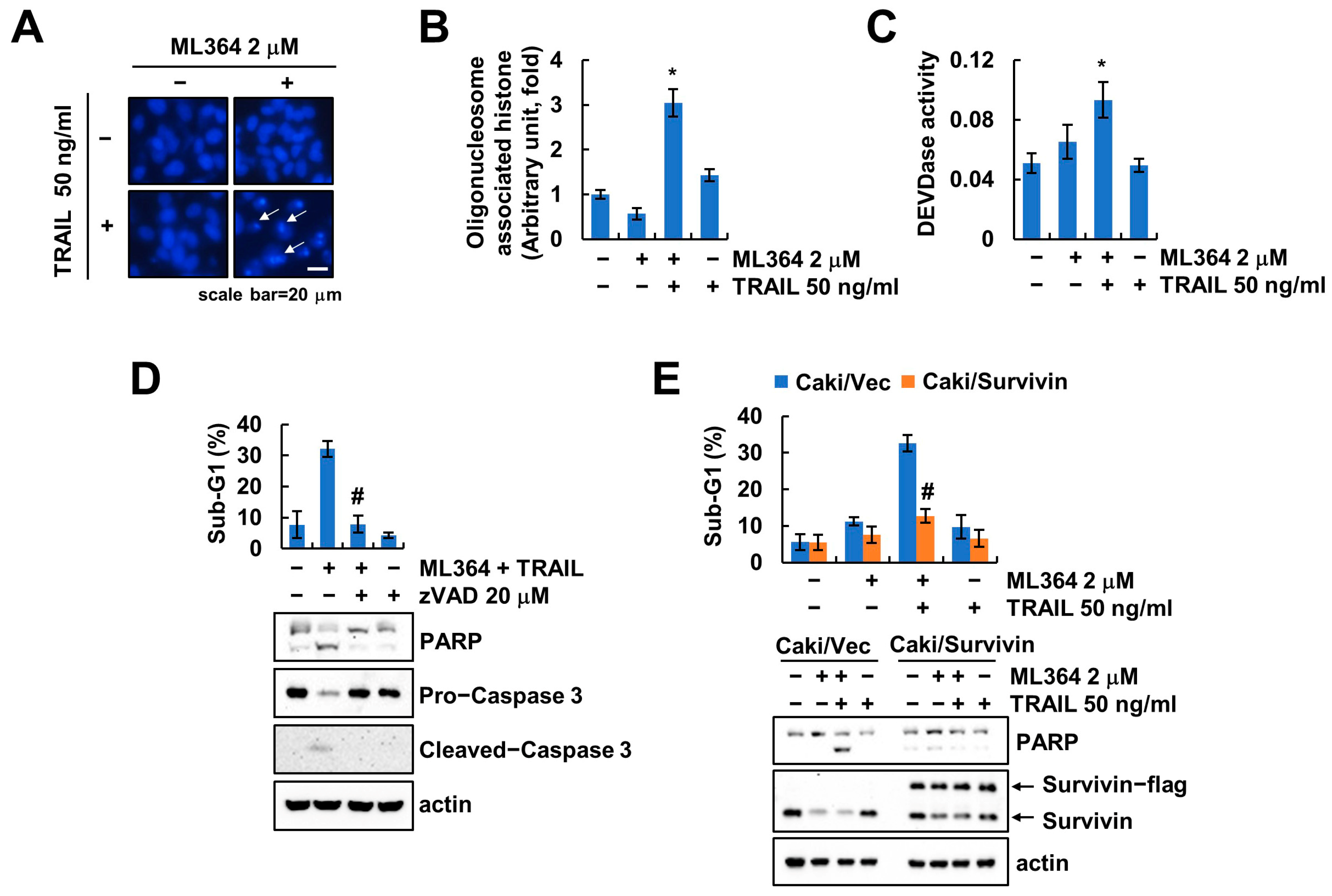 Ijms 24 12816 g005 Ijms 24 12816 g005