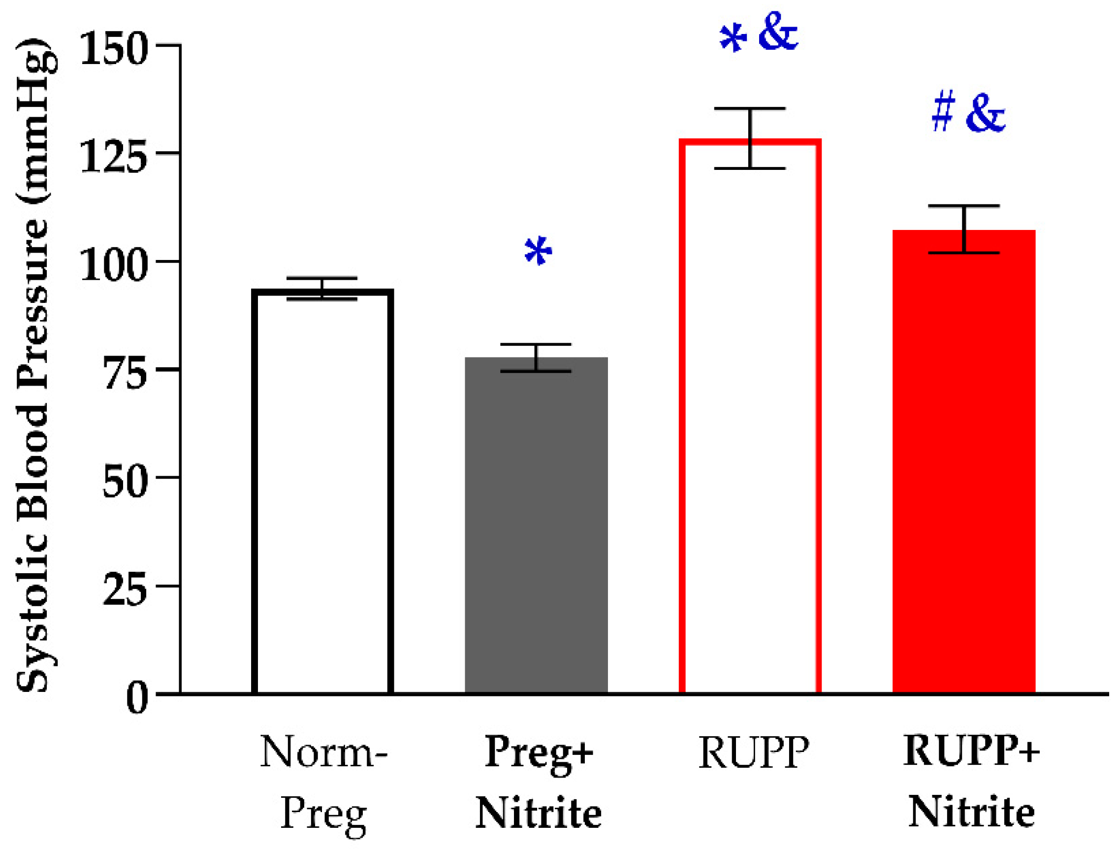 Ijms 24 12818 g001 Ijms 24 12818 g001