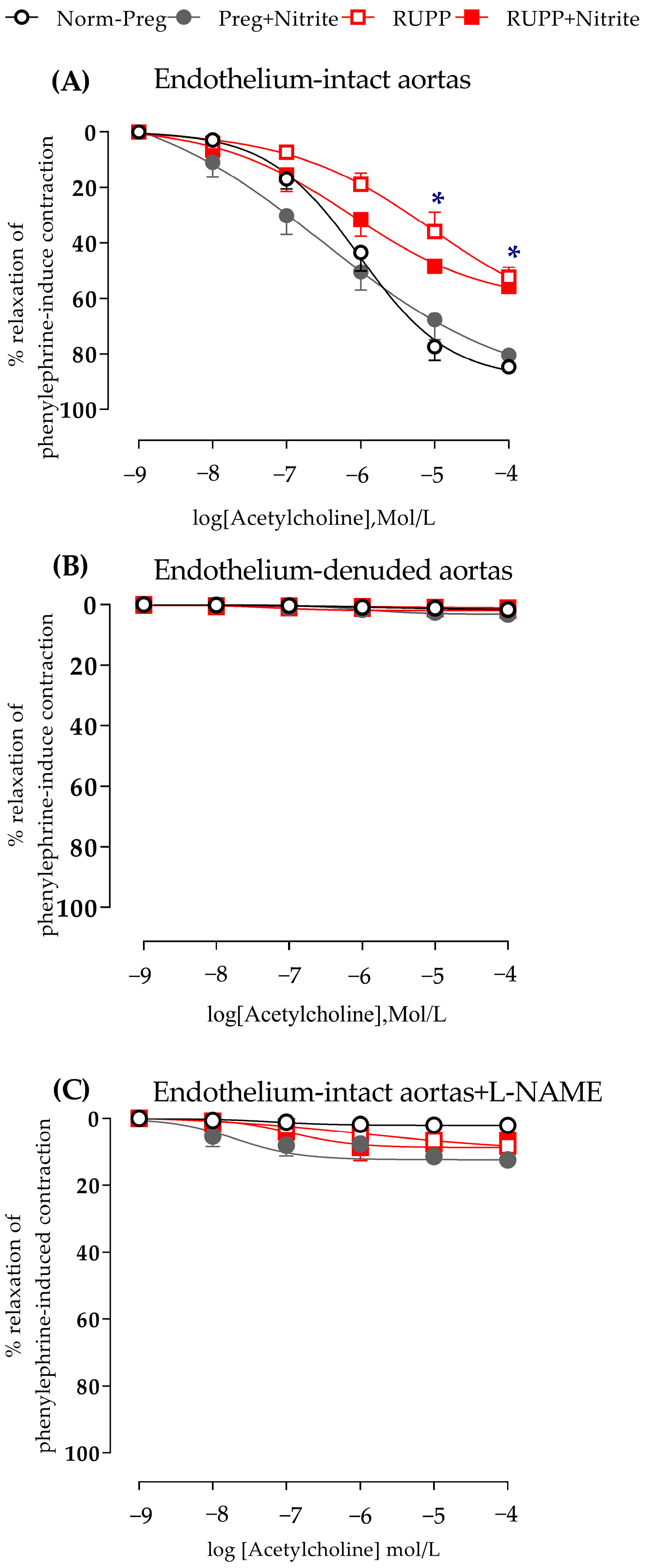 Ijms 24 12818 g006 Ijms 24 12818 g006