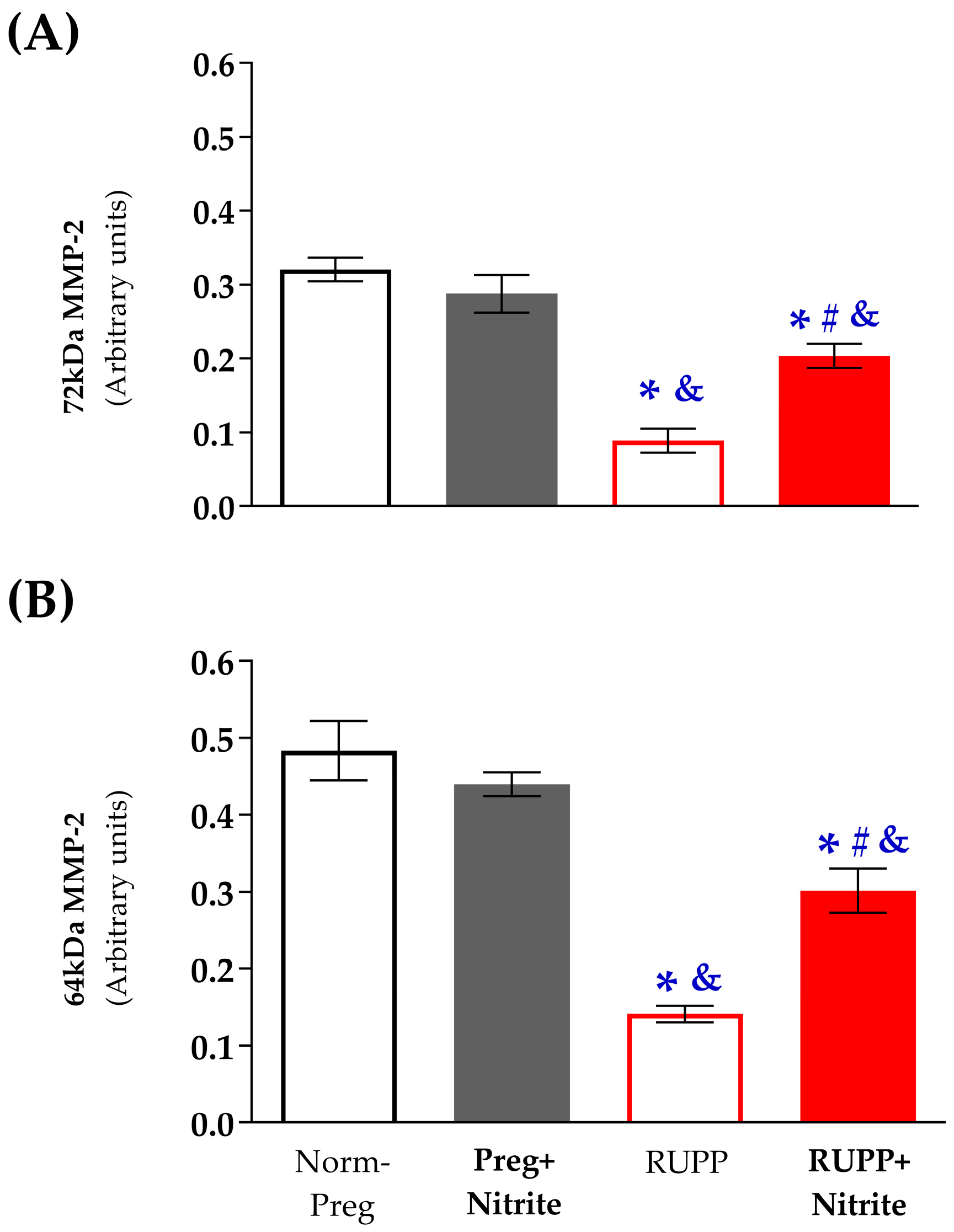 Ijms 24 12818 g007 Ijms 24 12818 g007