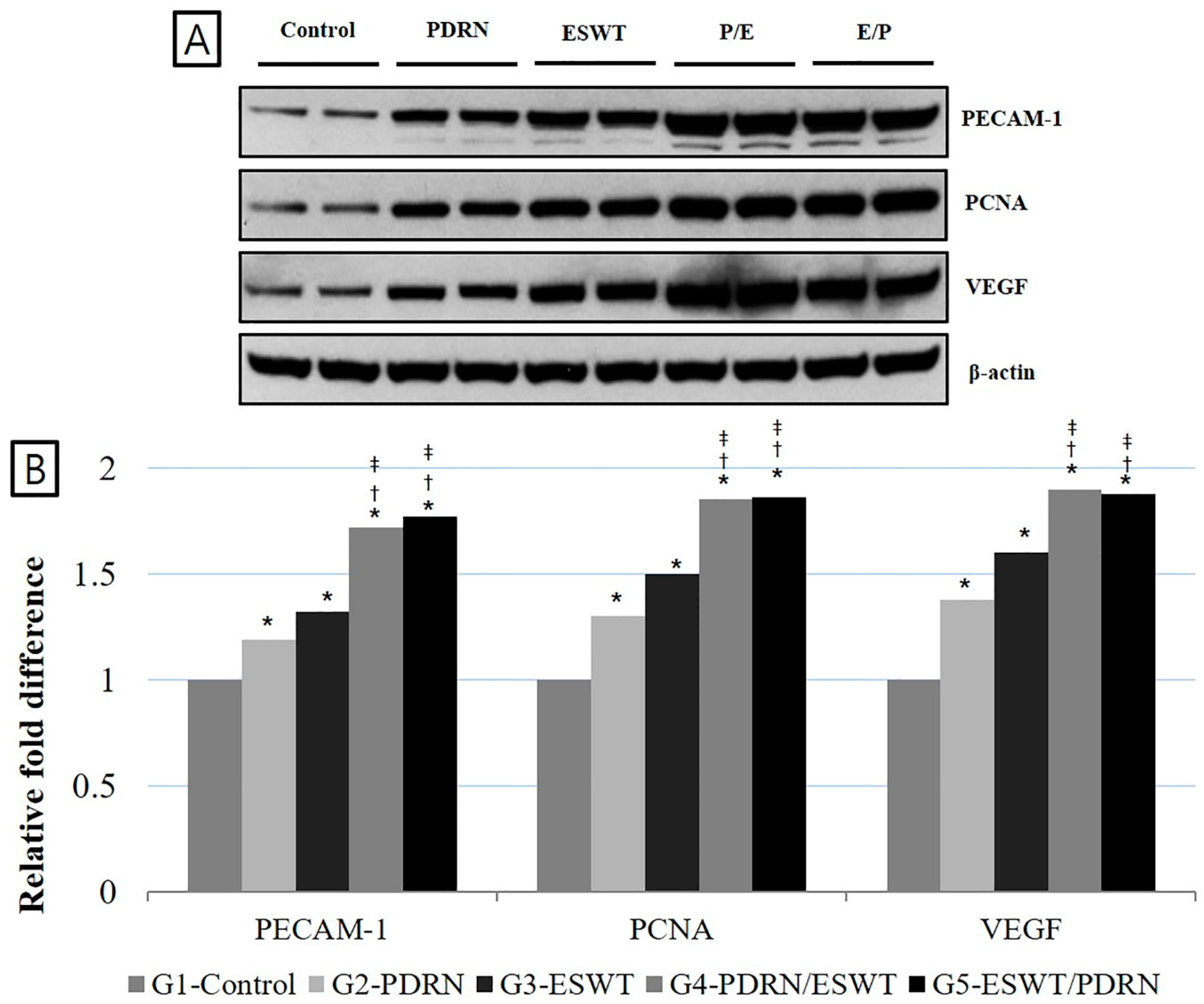 Ijms 24 12820 g002 Ijms 24 12820 g002