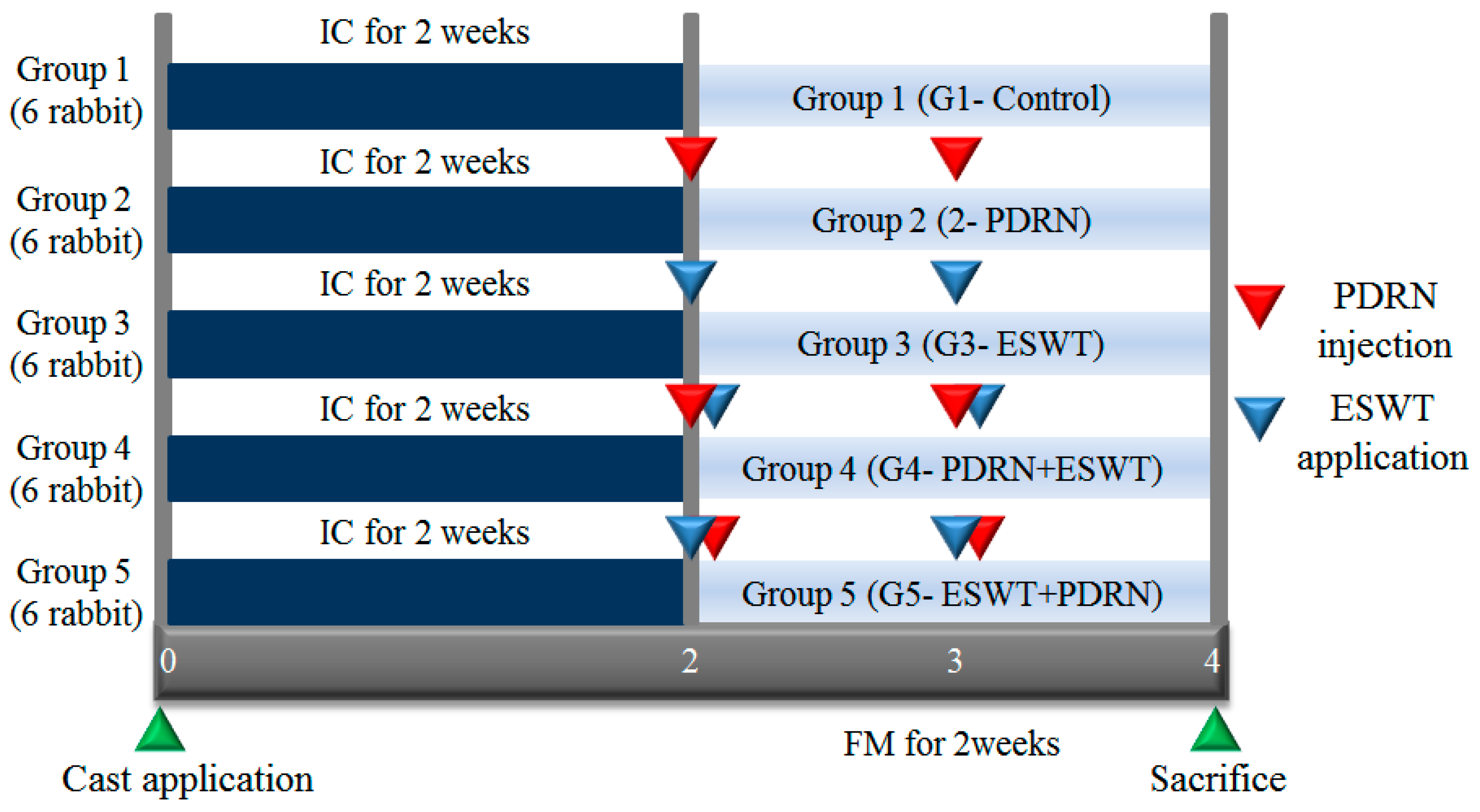 Ijms 24 12820 g003 Ijms 24 12820 g003