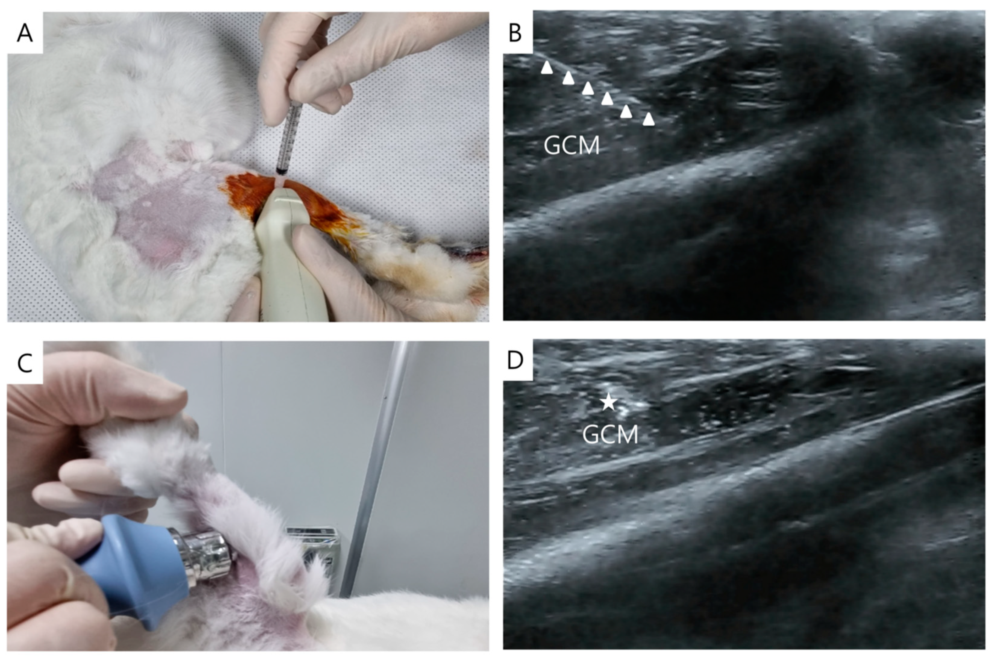 Ijms 24 12820 g004 Ijms 24 12820 g004